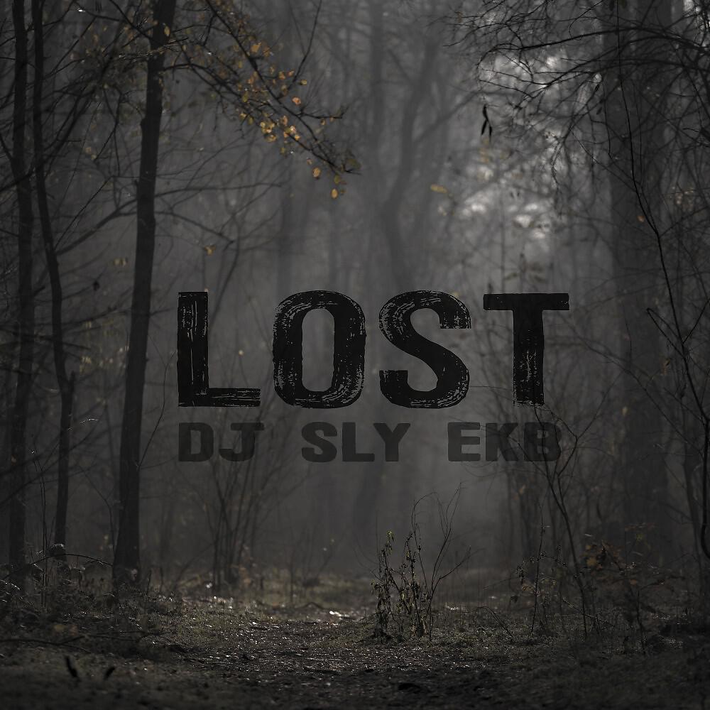 Релиз Lost
