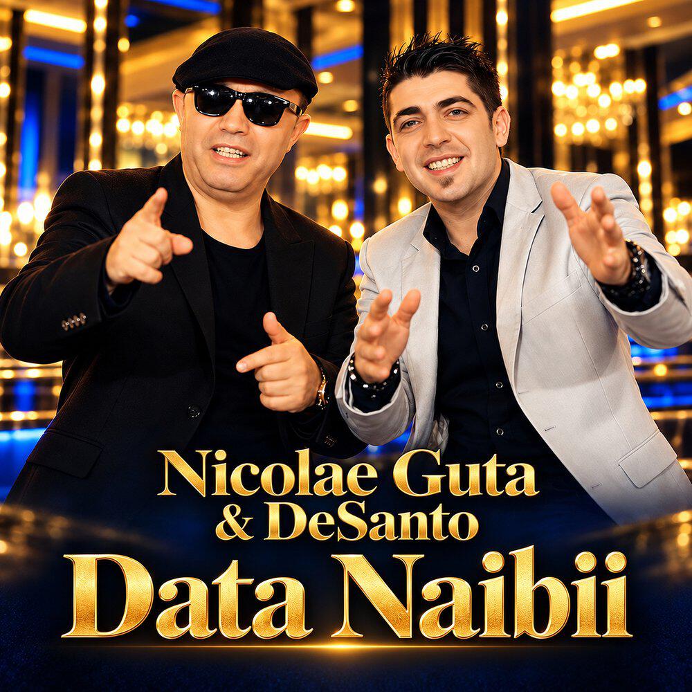 Релиз Data Naibii