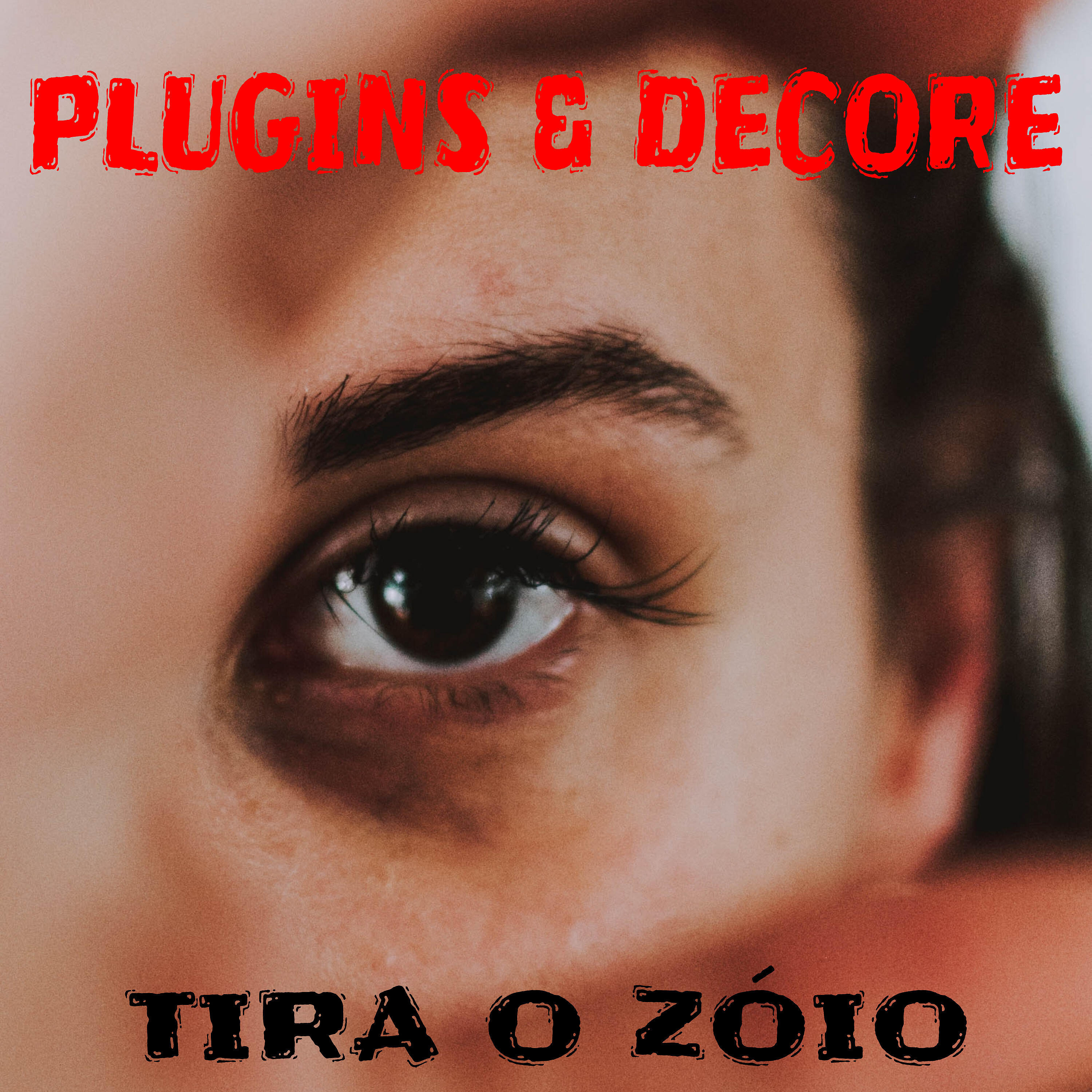 Релиз Tira o Zóio