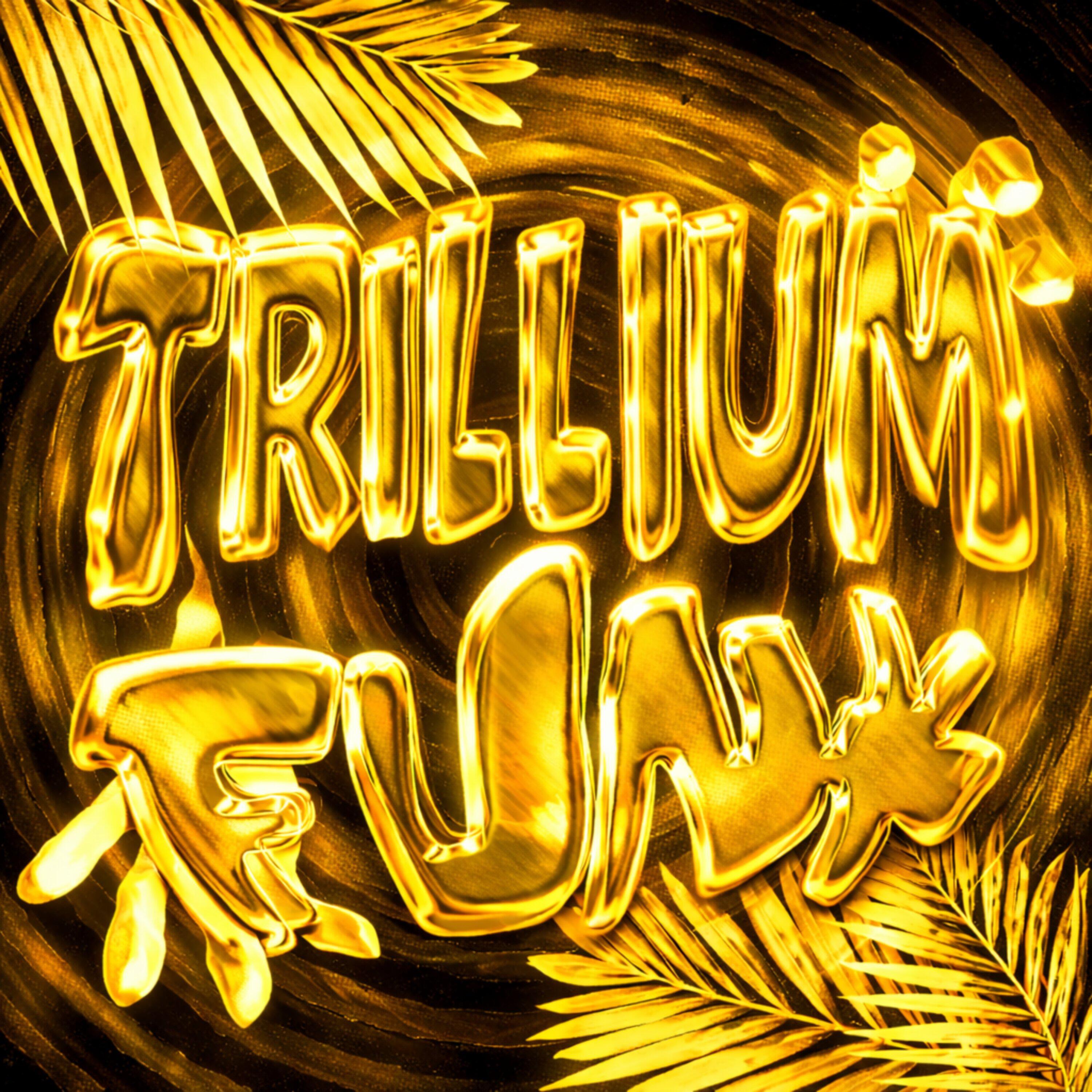 Релиз TRILLIUM DREAM FUNK!