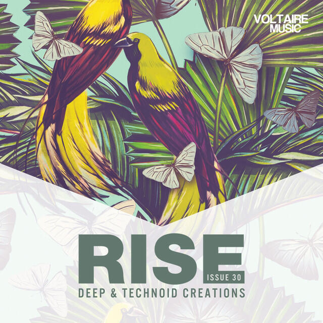 Релиз Rise - Deep & Technoid Creations Issue 30