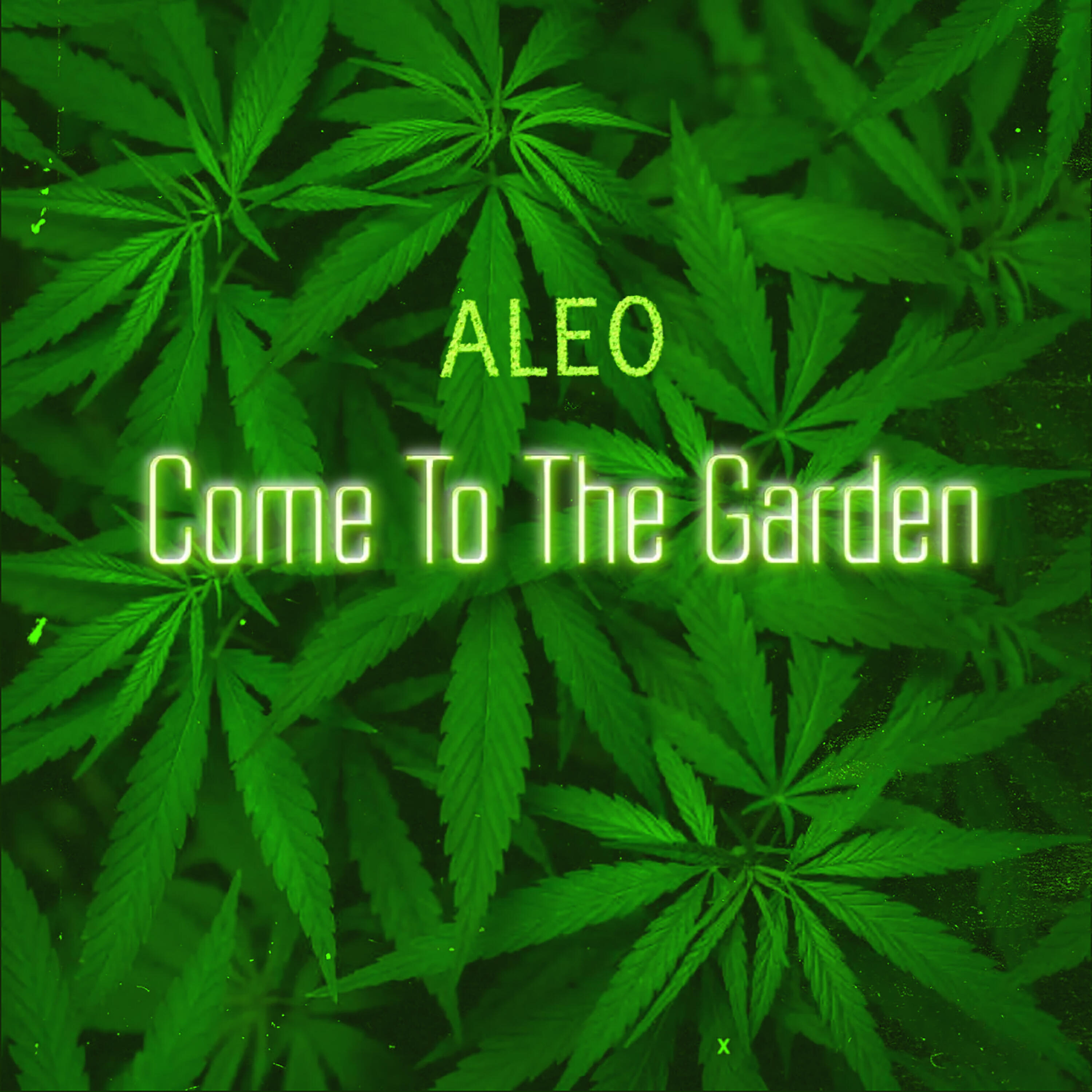 Aleo