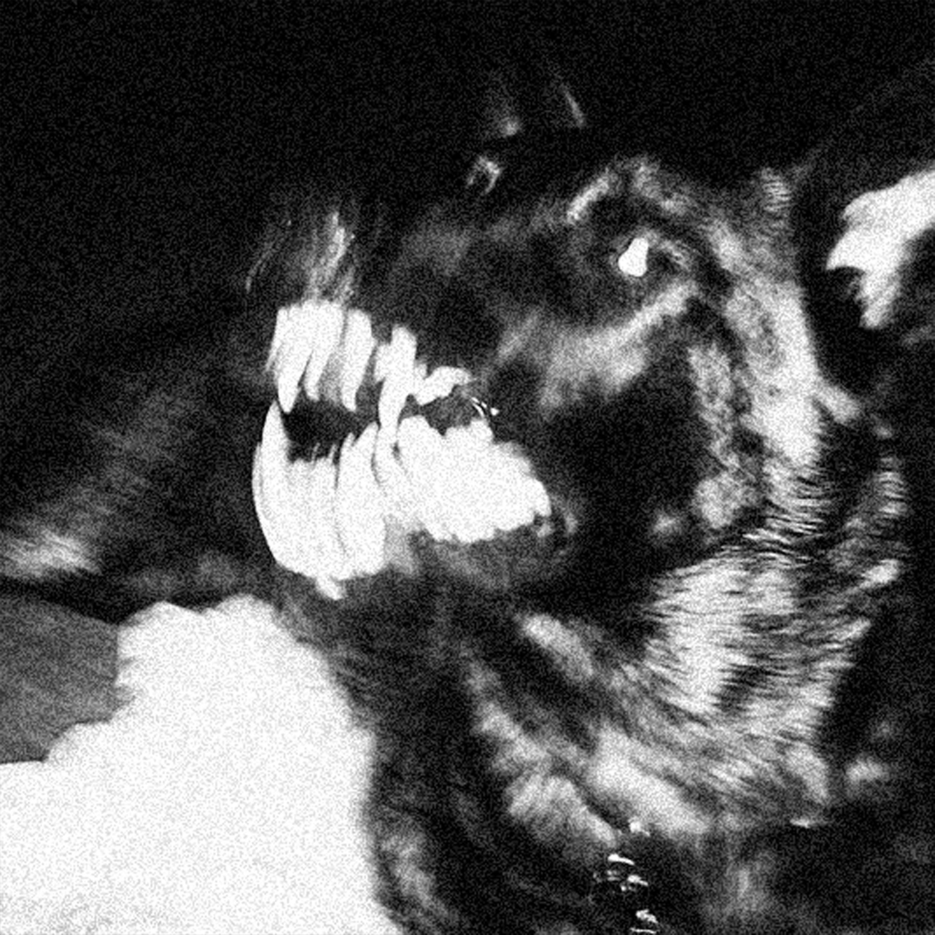 Релиз K-9