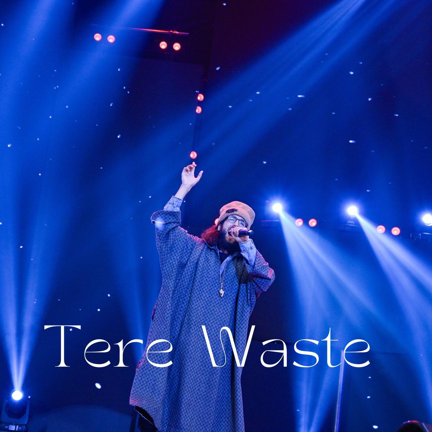 Релиз Tere Waste