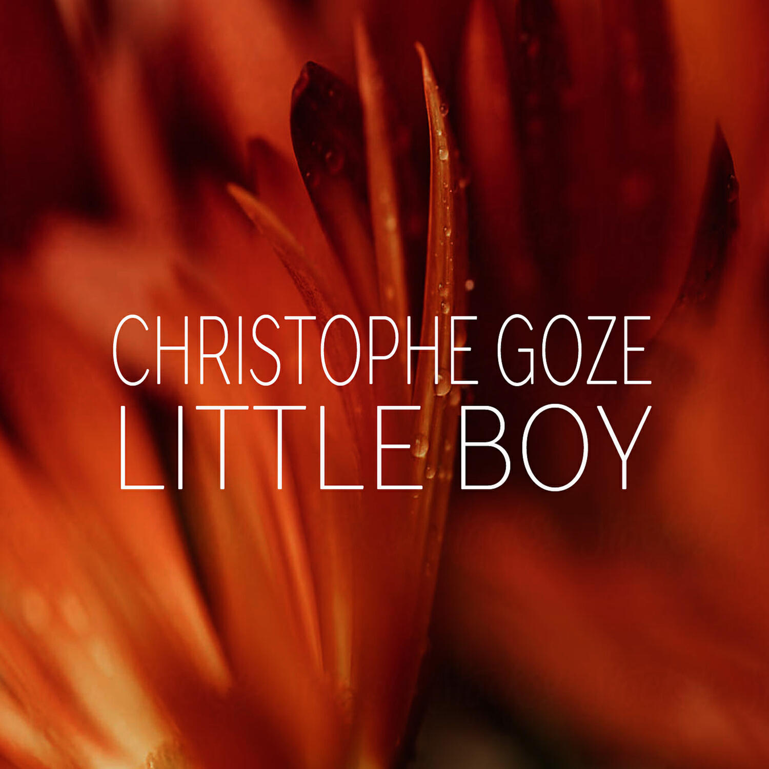 Релиз Little Boy