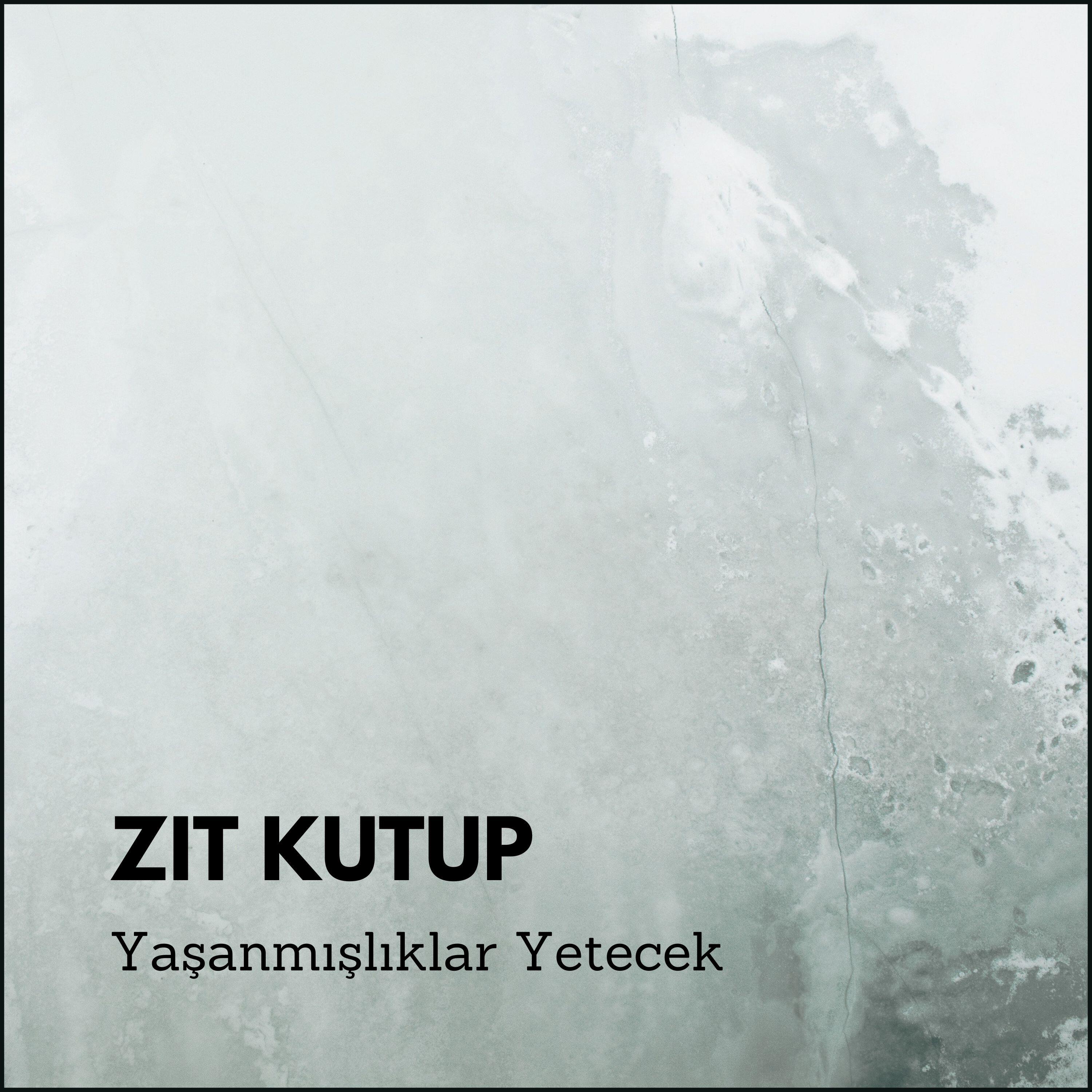 Zıt Kutup