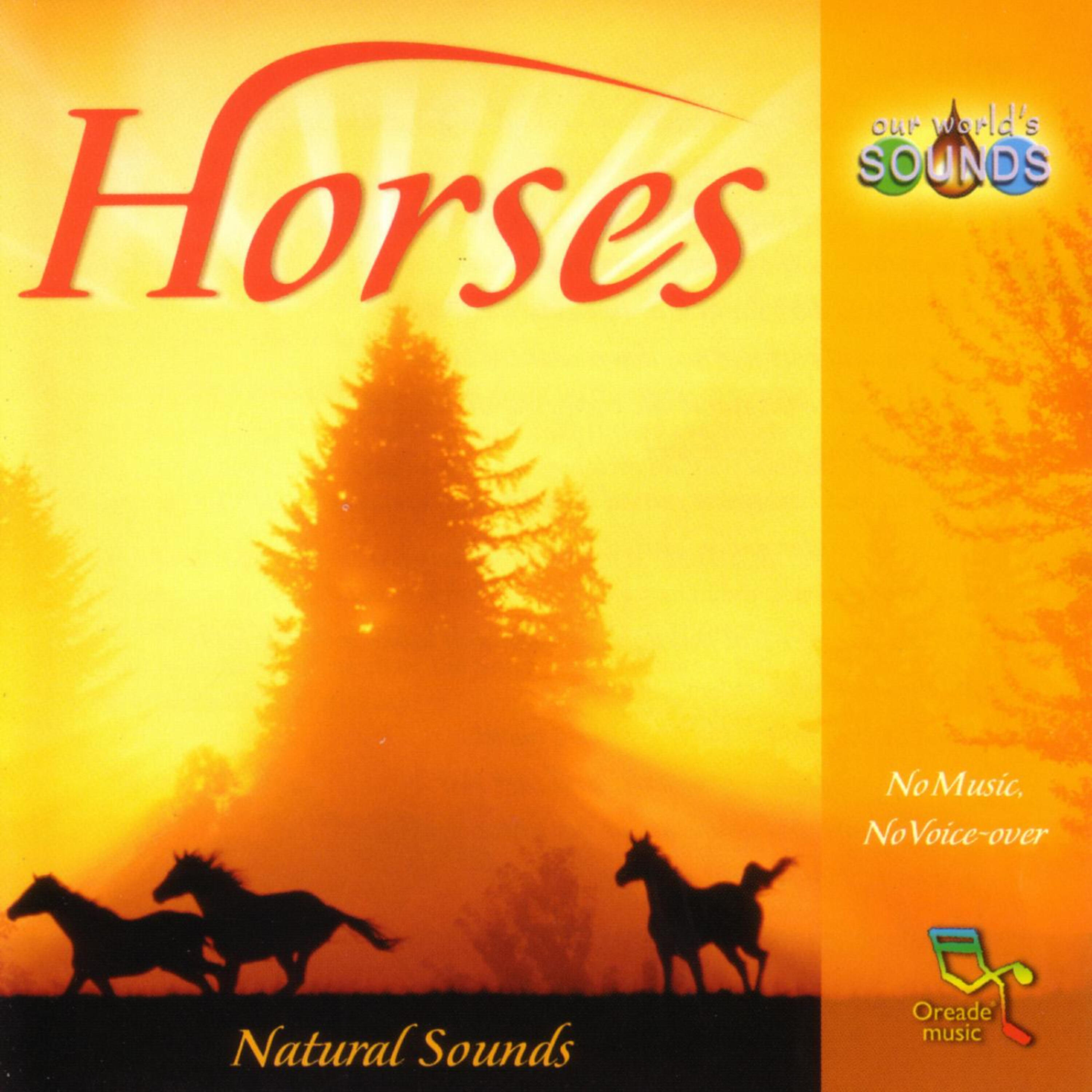 Релиз Horses