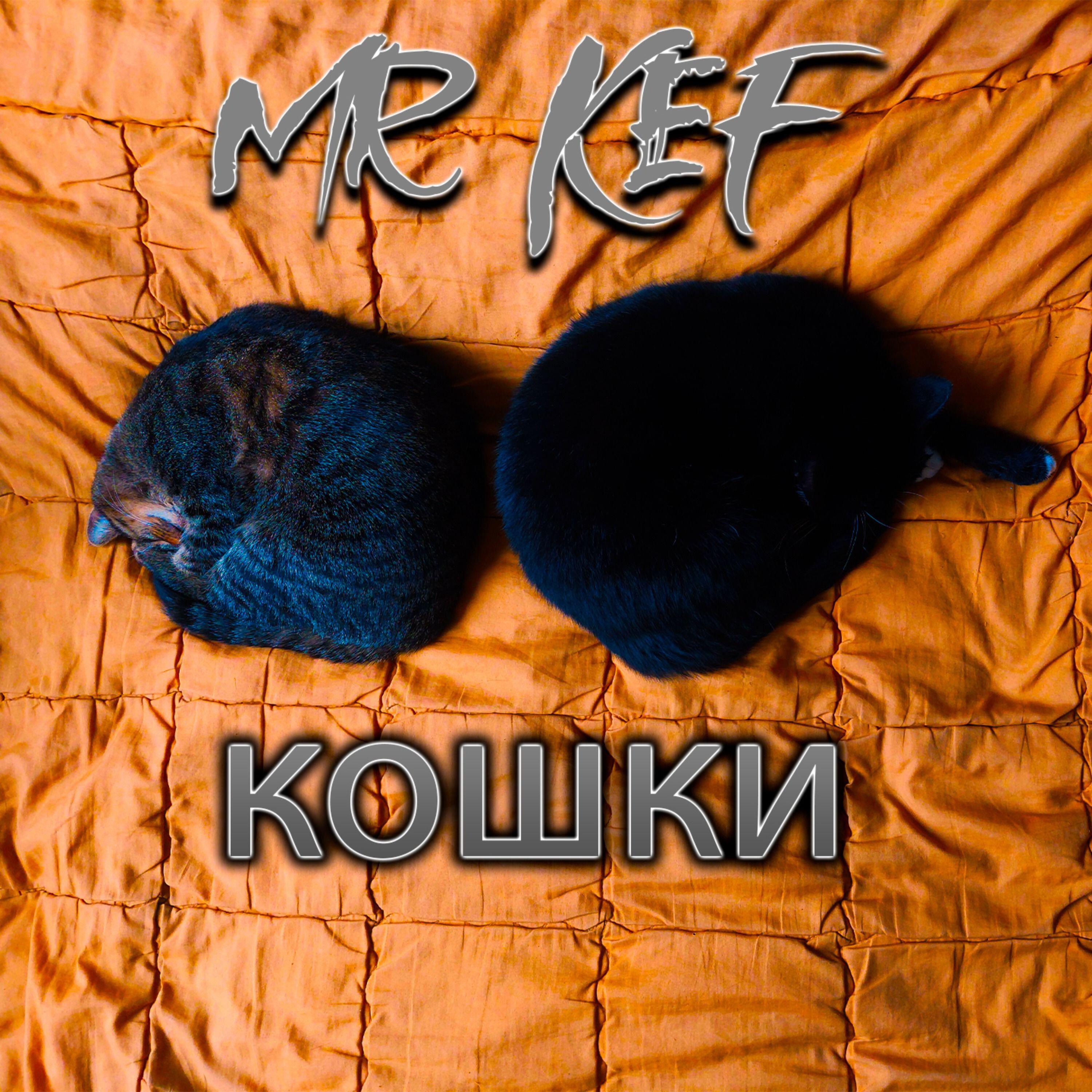Постер альбома Кошки