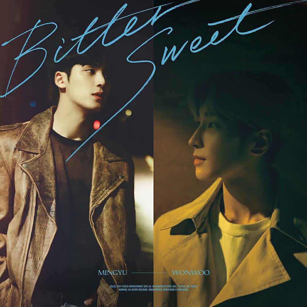 WONWOO, MINGYU (SEVENTEEN)