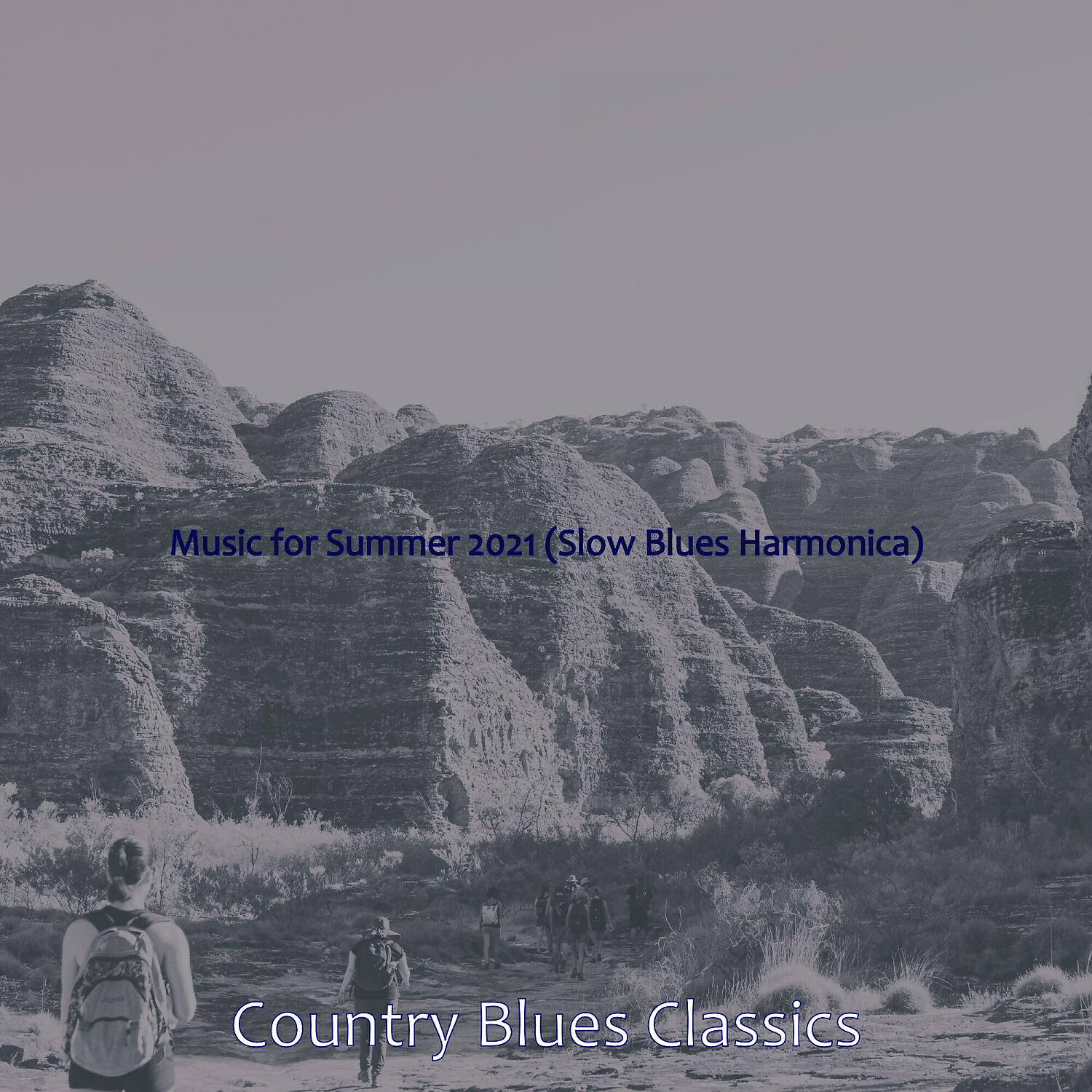 Country Blues Classics