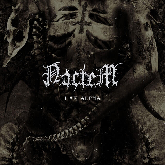 Релиз I AM ALPHA