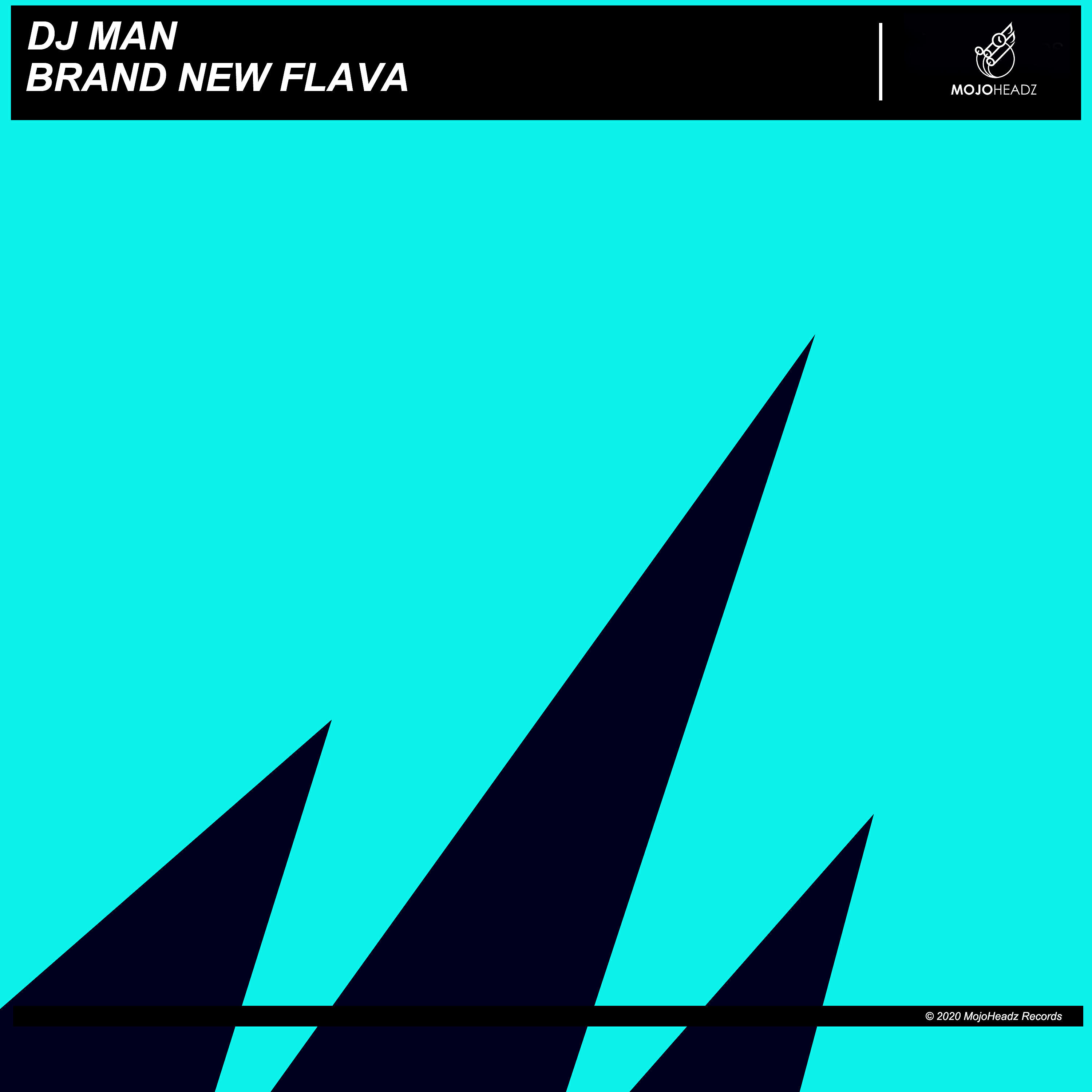 Релиз Brand New Flava