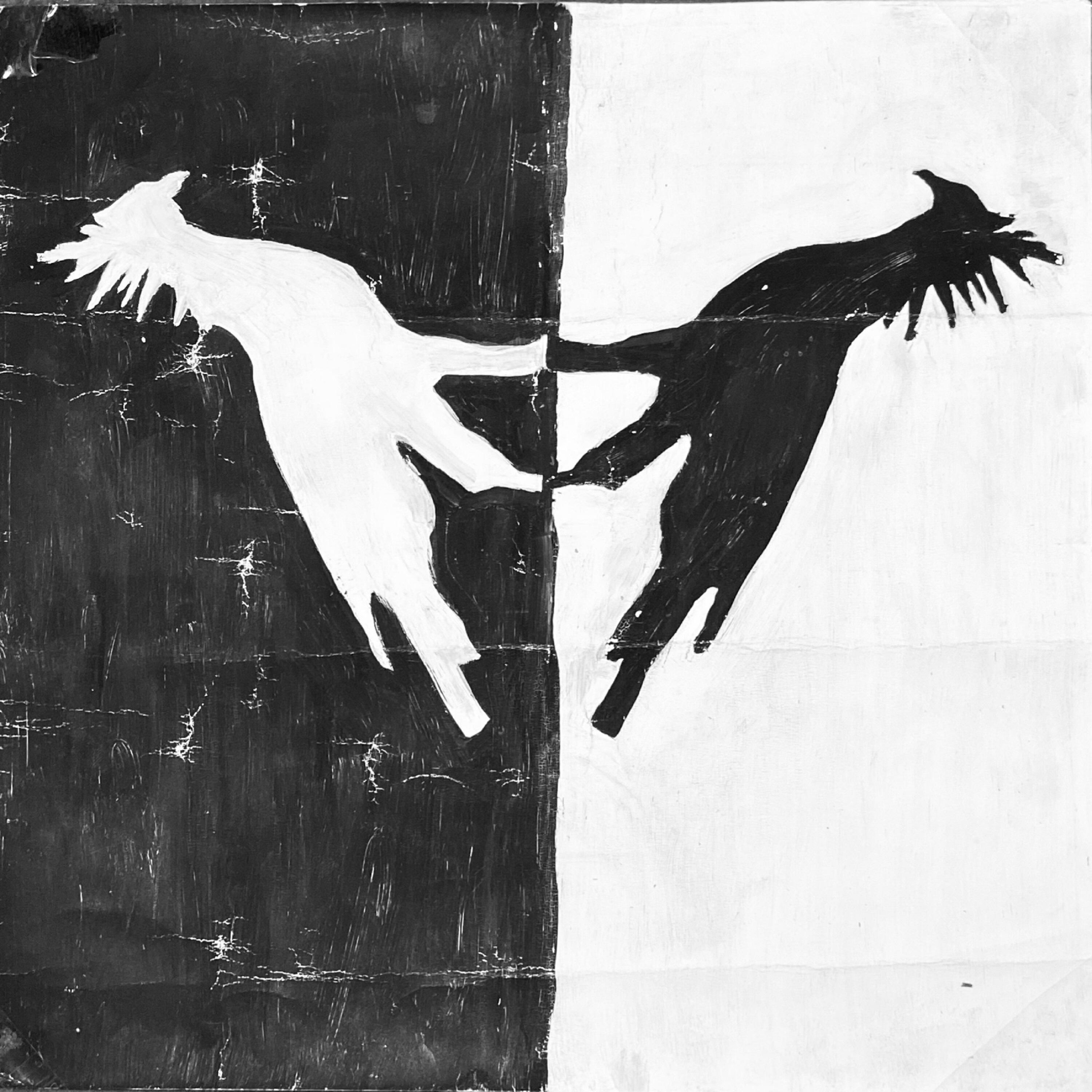 Релиз масло чёрного тмина