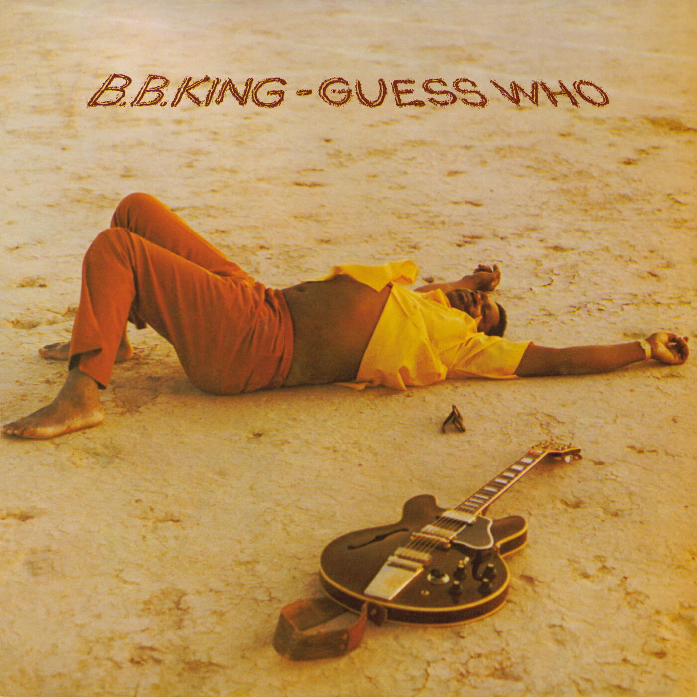 Постер альбома Guess Who