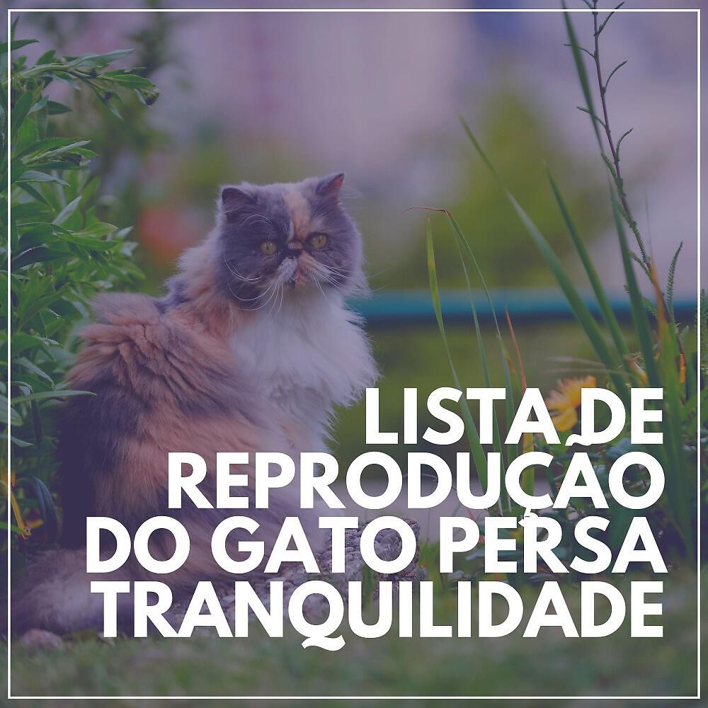 Релиз Lista de Reprodução do Gato Persa Tranquilidade