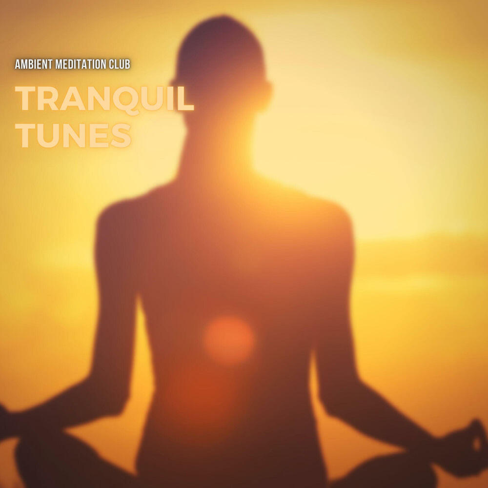 Релиз Tranquil Tunes: Ambient Music for Meditation