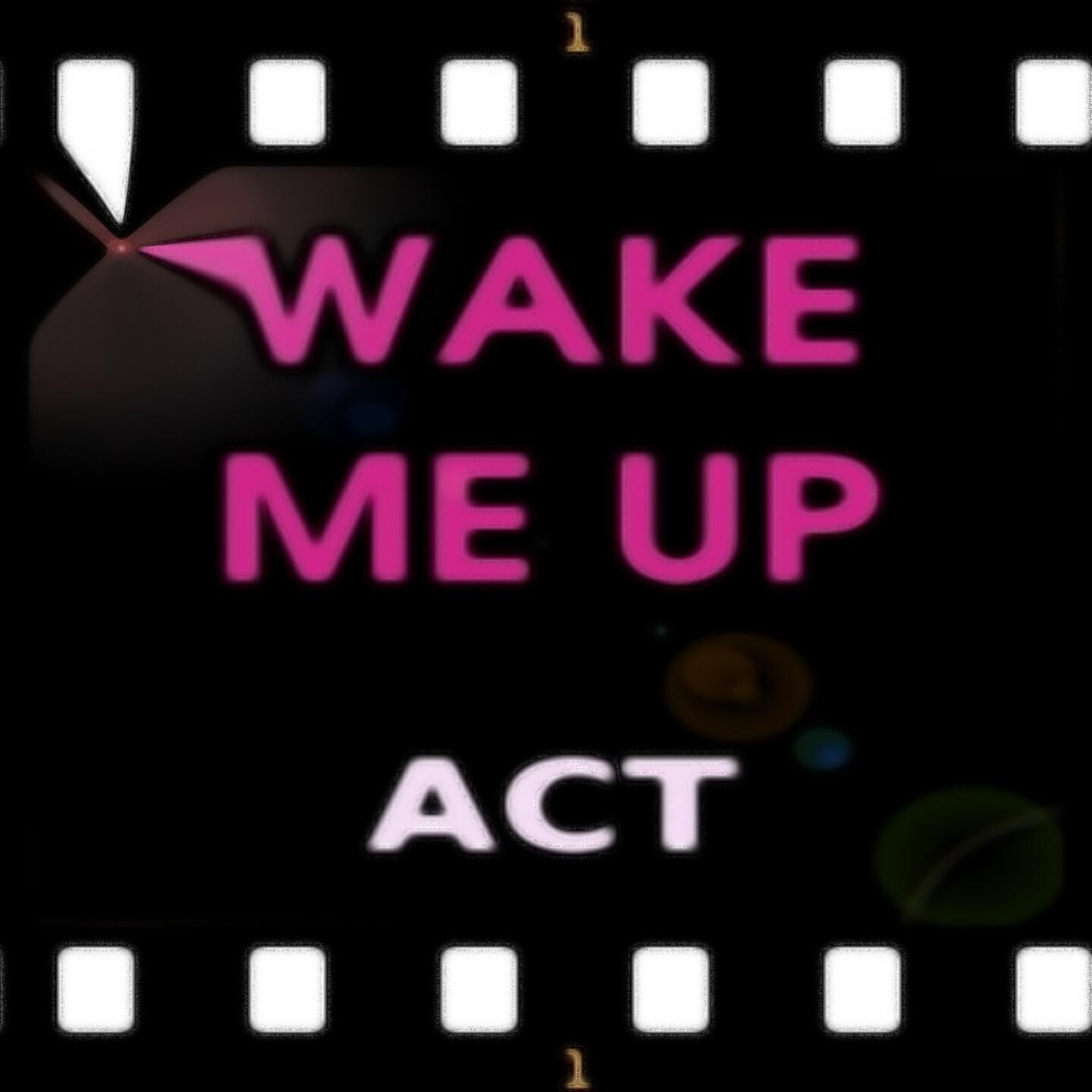 Релиз Wake Me Up