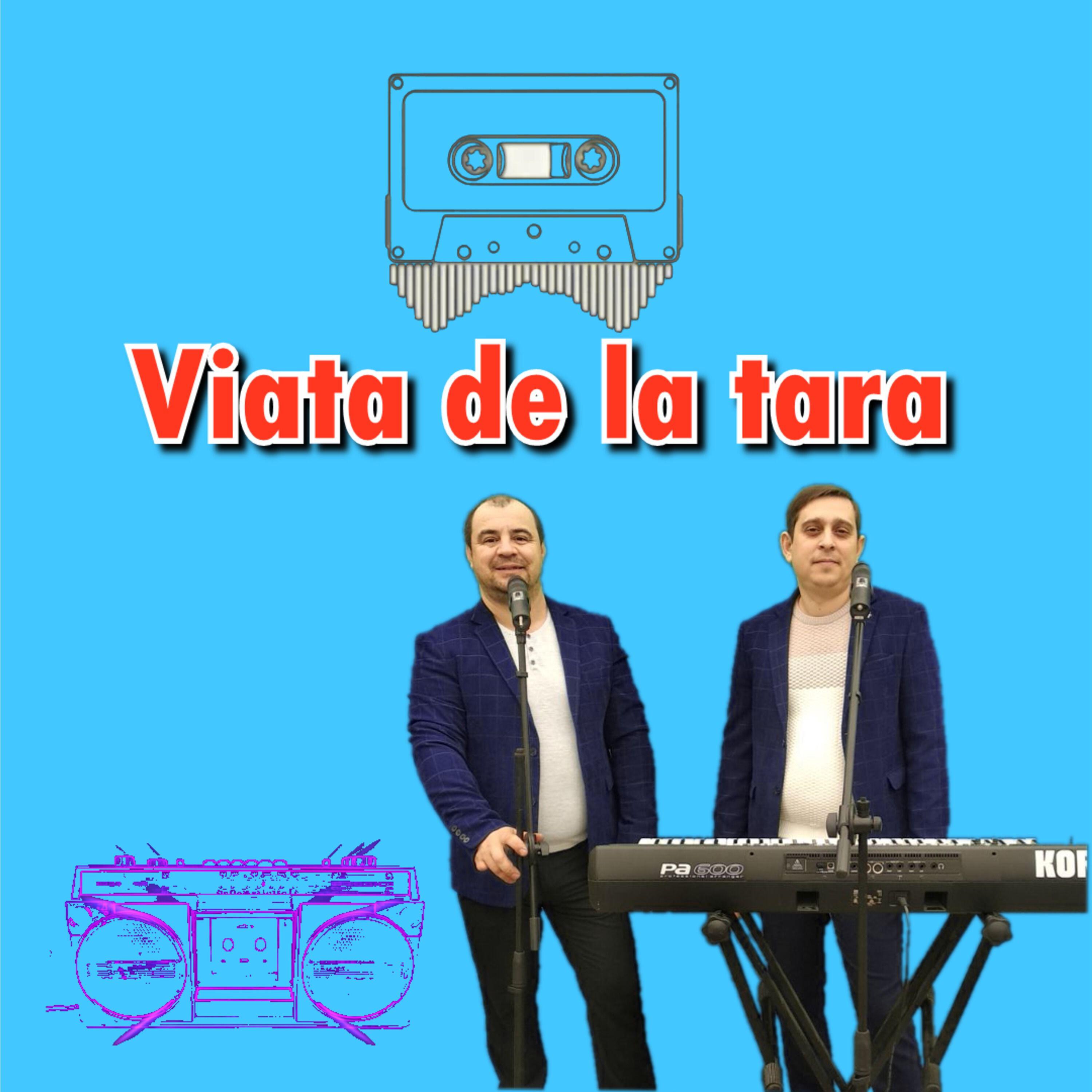 Постер альбома Viata de la tara