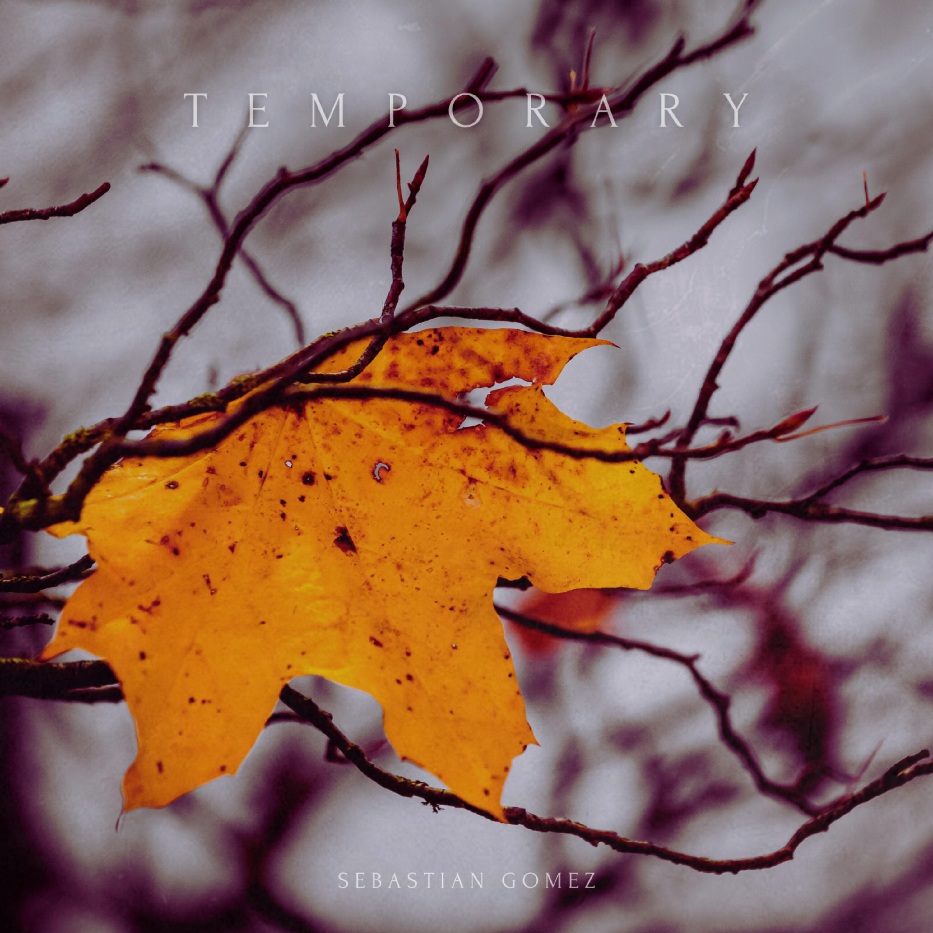 Релиз Temporary
