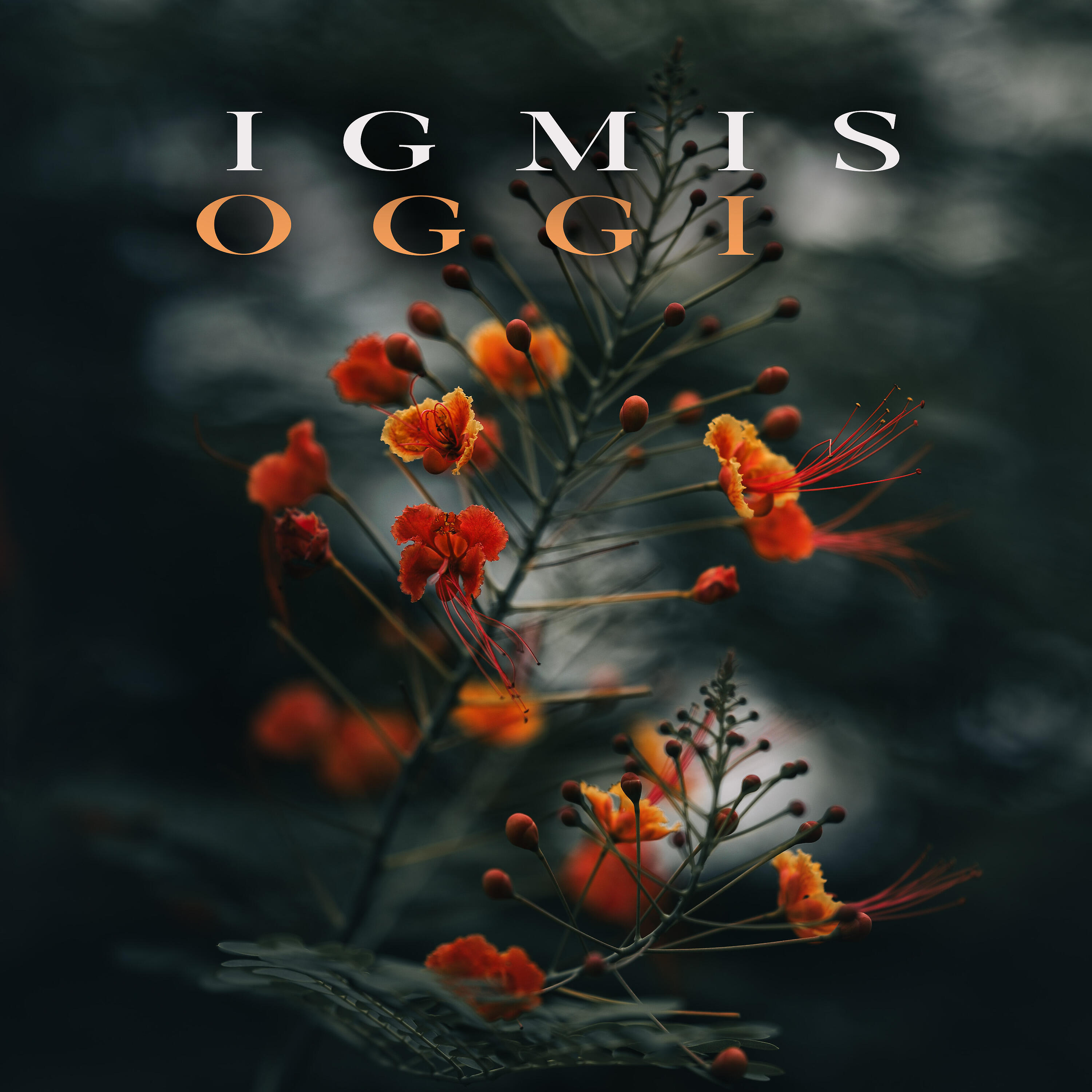 Релиз Oggi