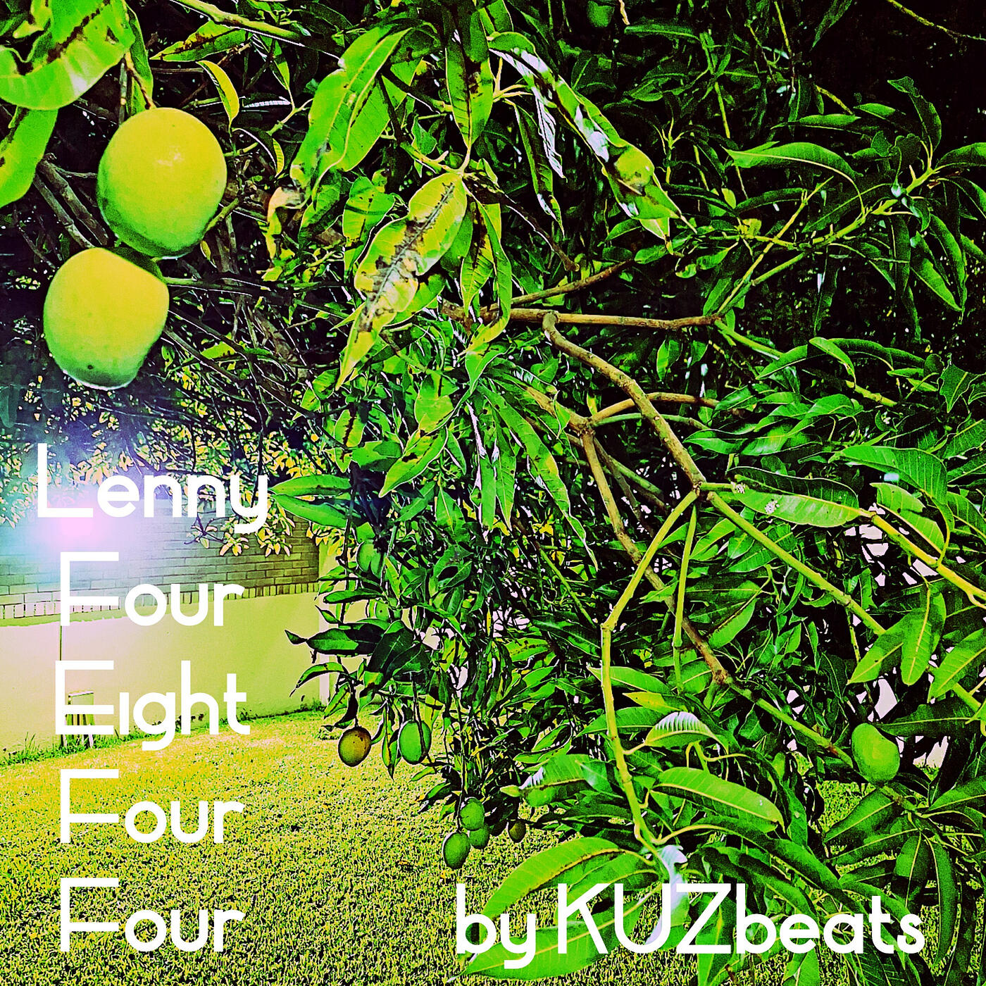 Релиз Lenny Four Eight Four Four