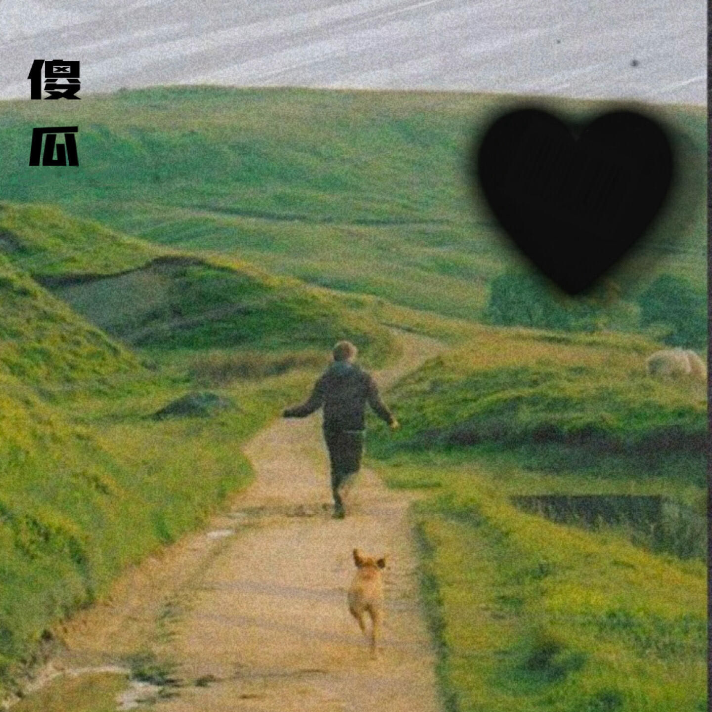 Релиз 傻瓜