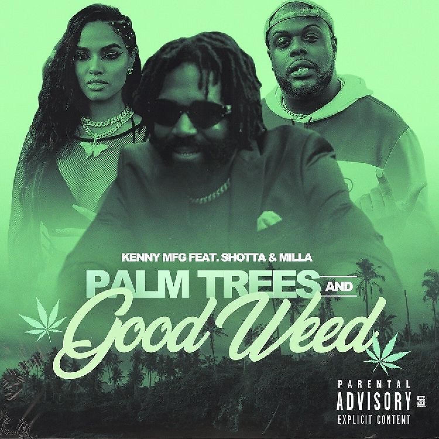 Релиз Palm Trees and Good Weed
