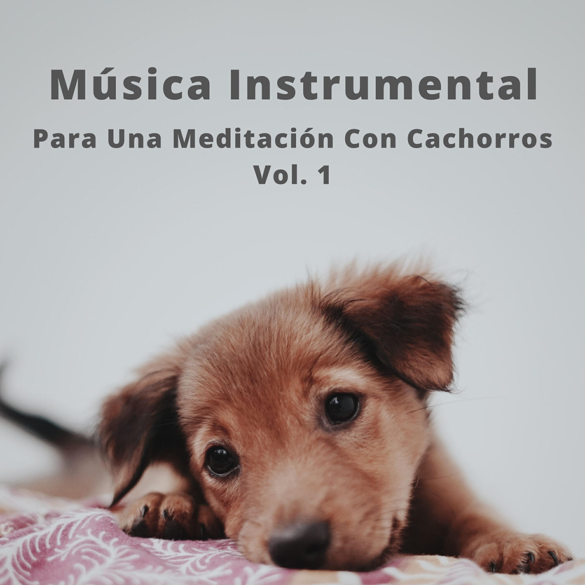 Релиз Música Instrumental Para Una Meditación Con Cachorros Vol. 1