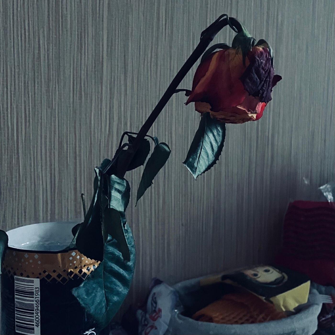 Релиз Стиль