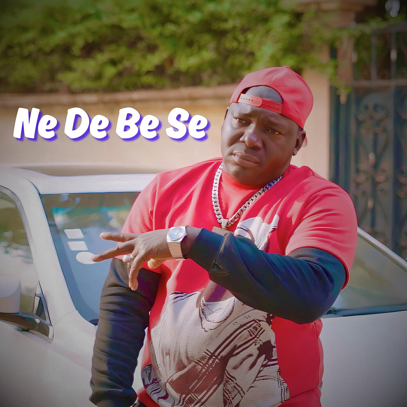 Релиз Ne De Be Se