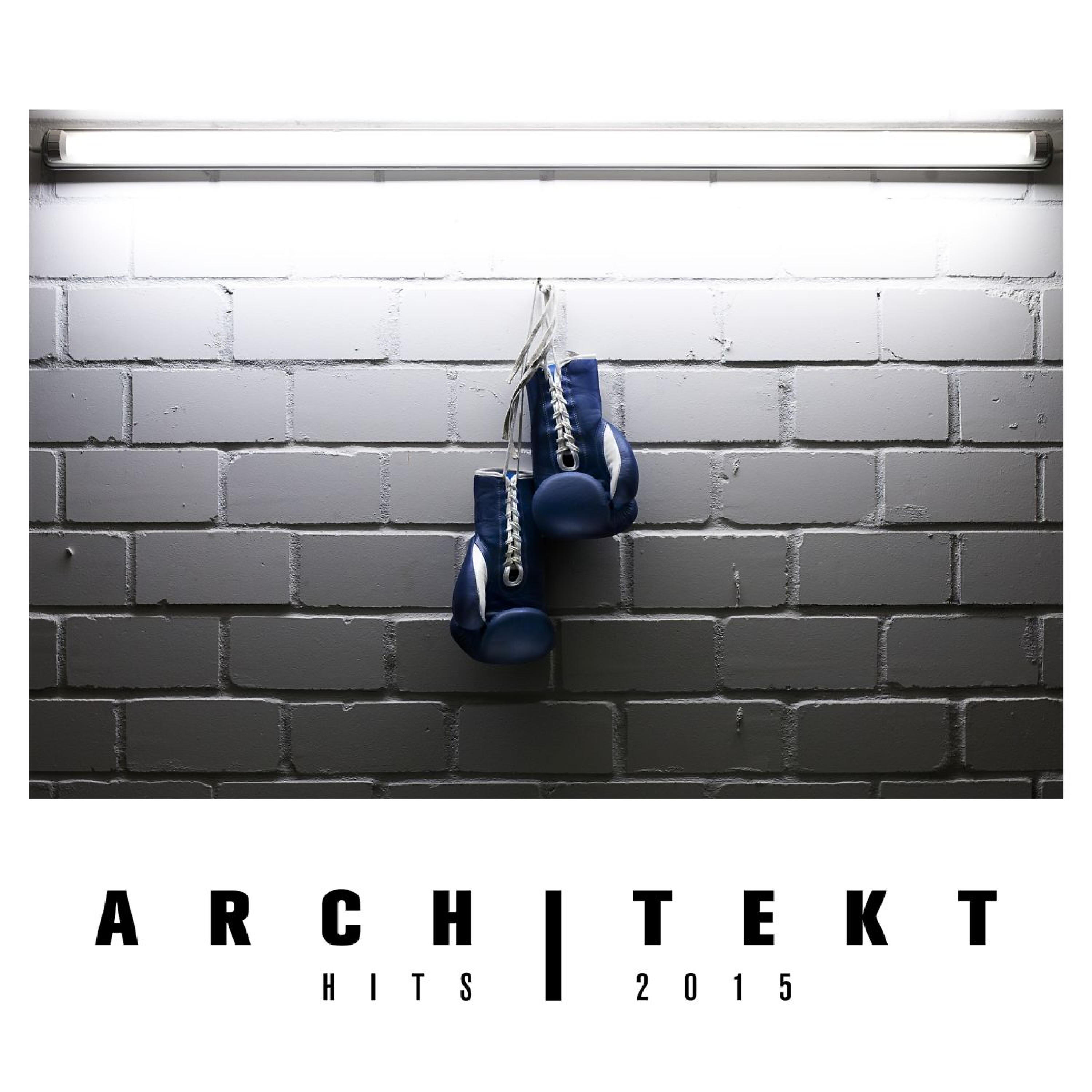 Релиз Architekt Hits 2015