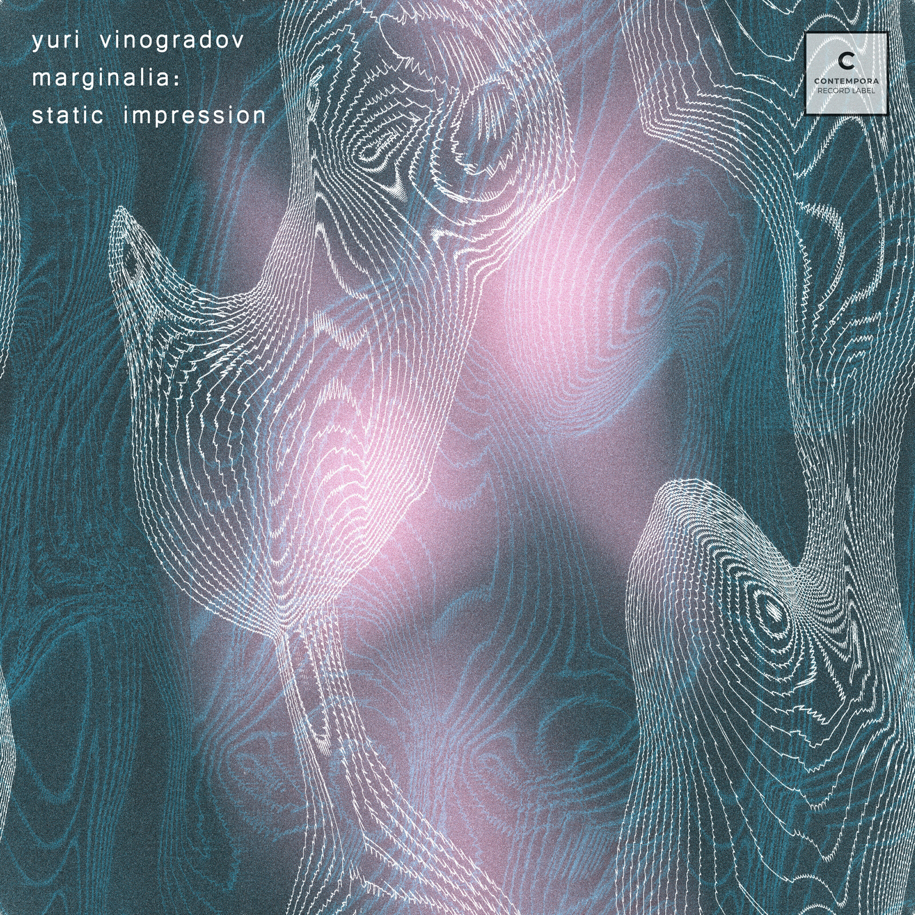 Постер альбома Marginalia: Static Impression