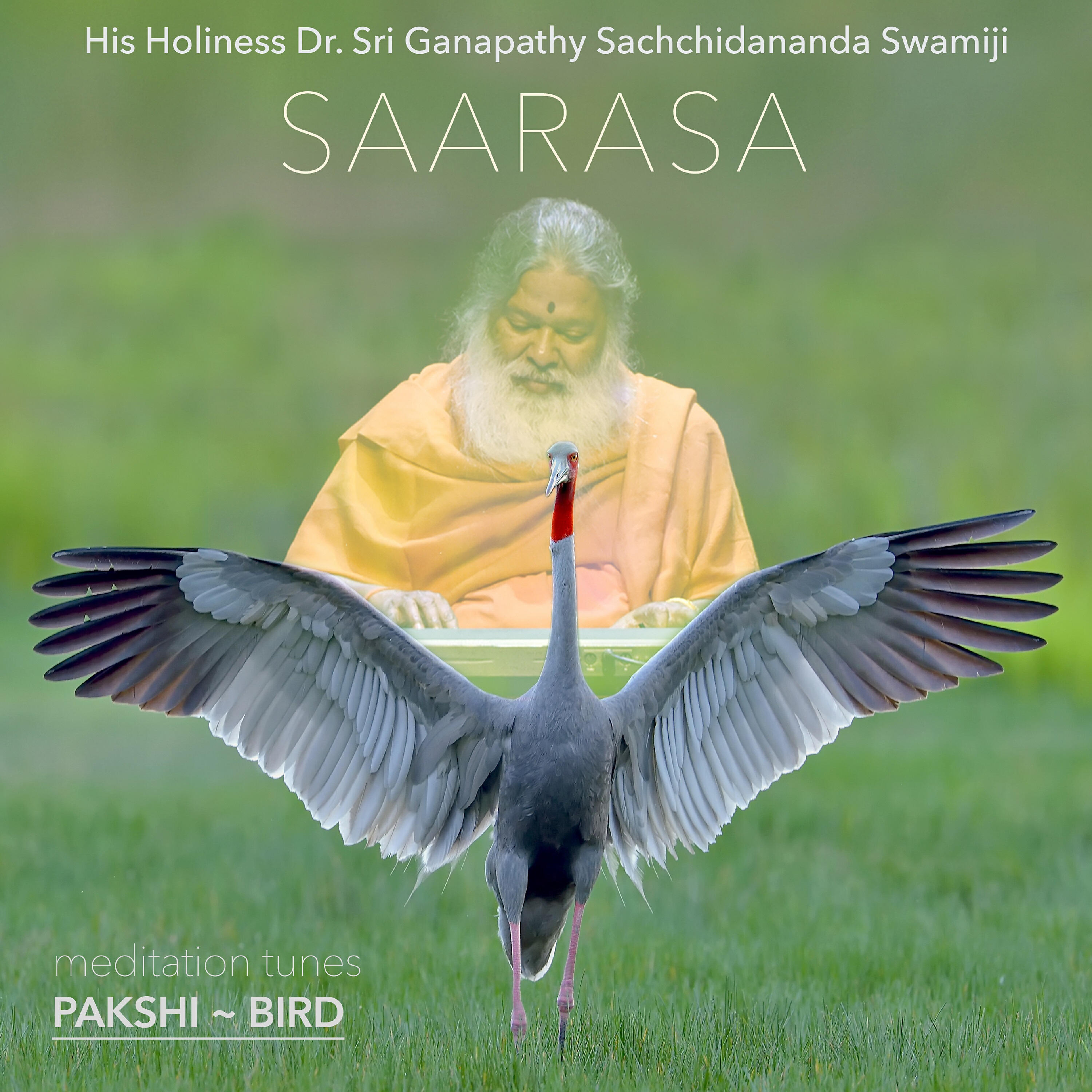 Релиз Meditation Tunes - Pakshi / Bird - Saarasa