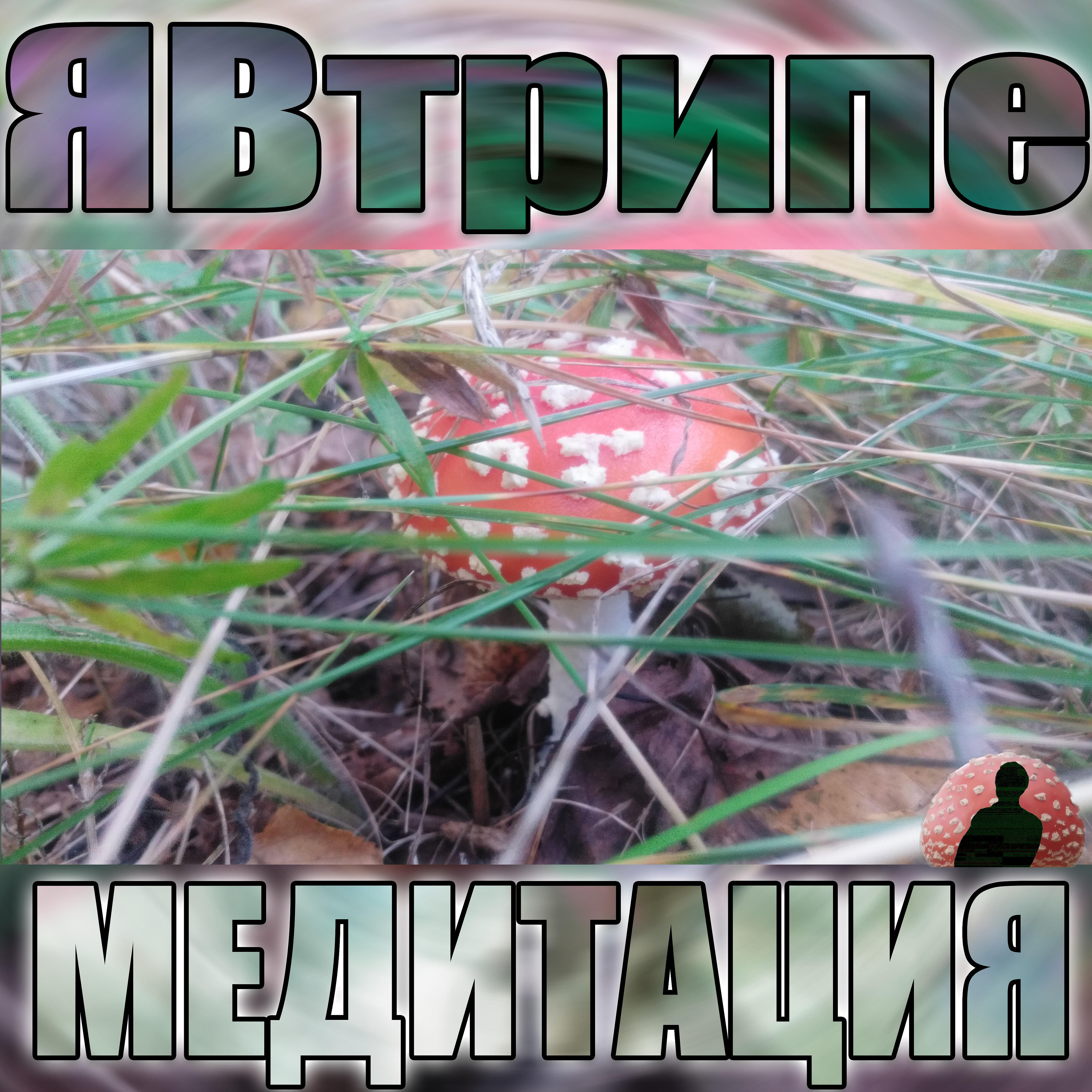 Релиз Медитация