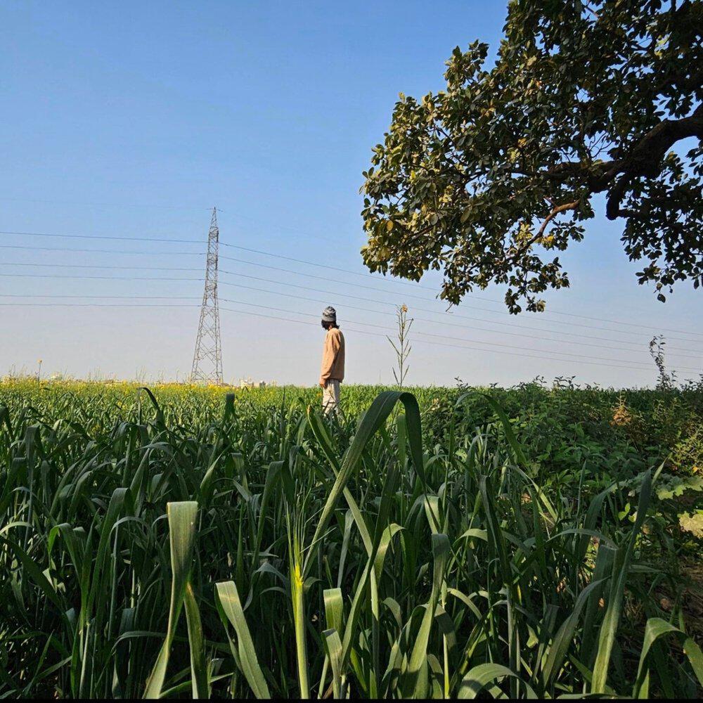 Релиз 8PM INBHOJPUR/ARA
