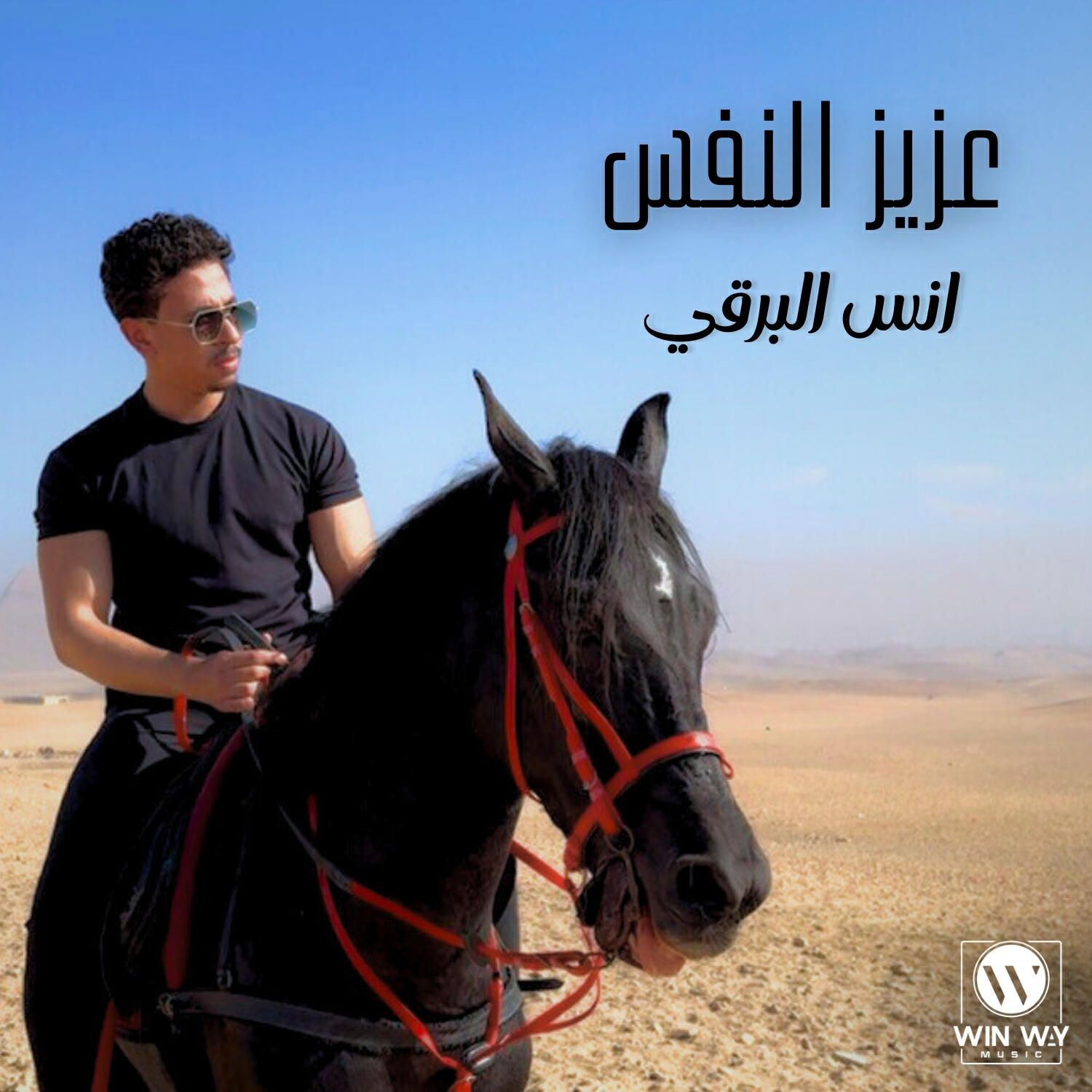 أنس البرقي