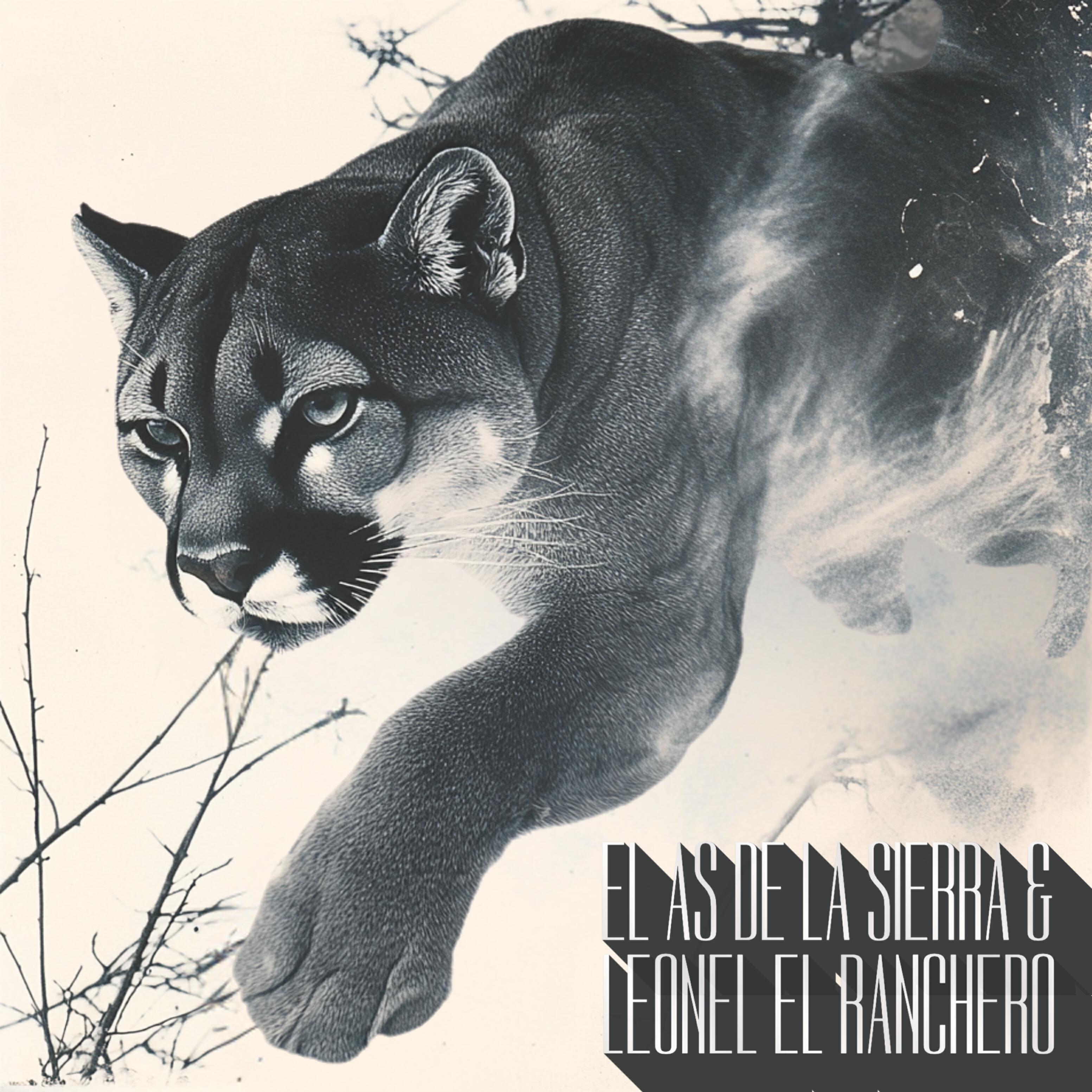 Релиз El Puma