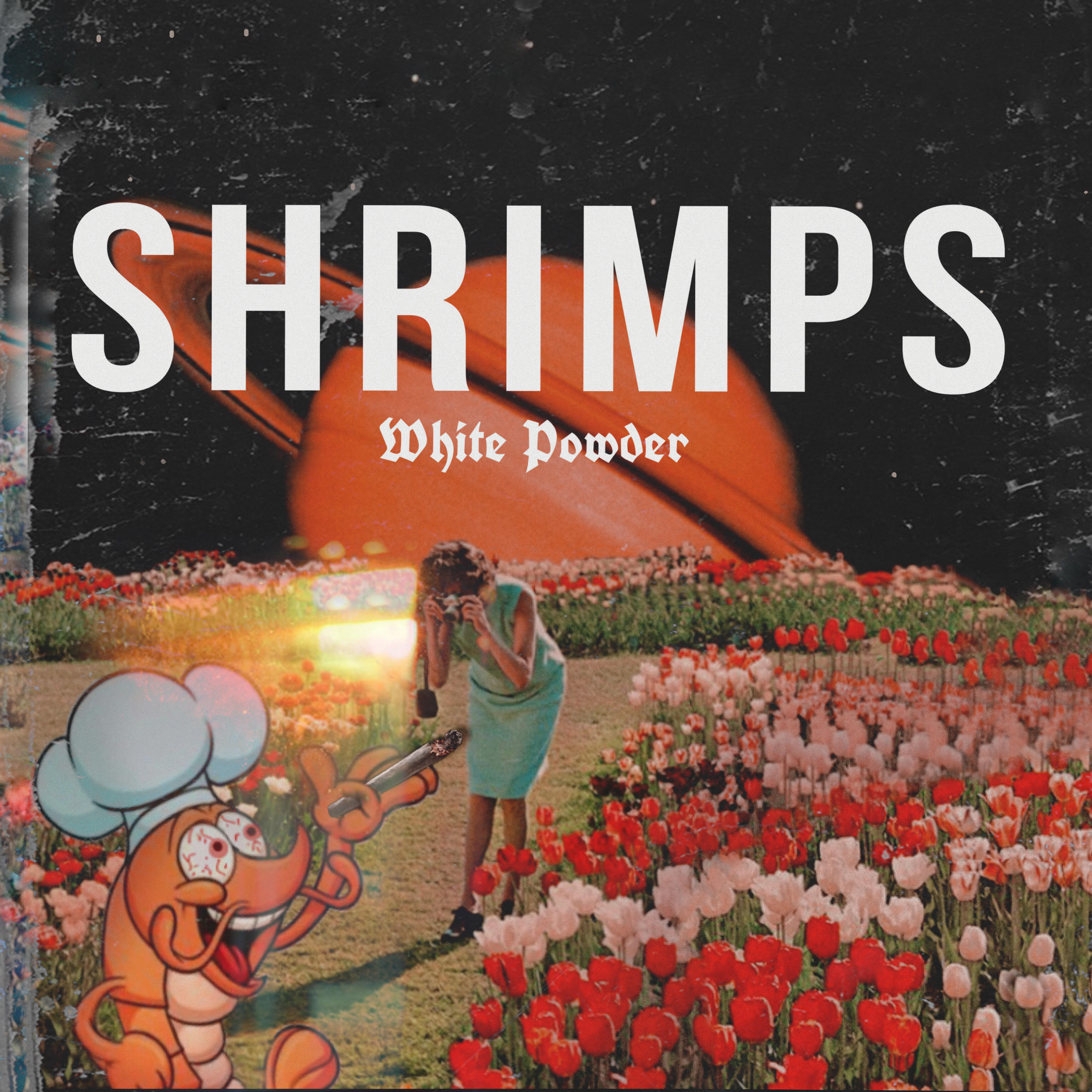Релиз Shrimps