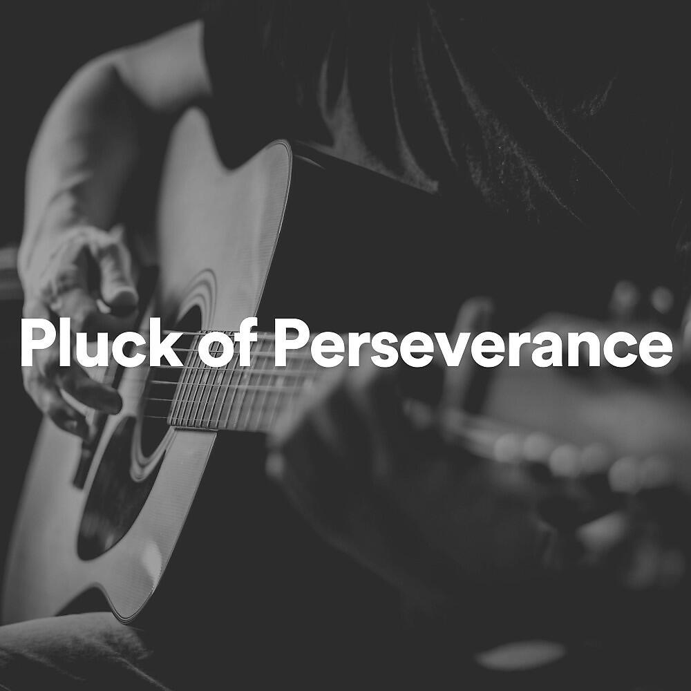 Релиз Relaxing Guitar Group