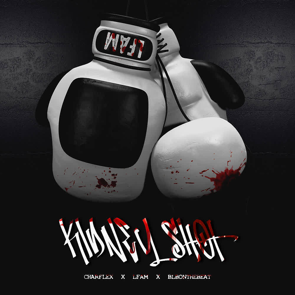 Релиз Kidney Shot
