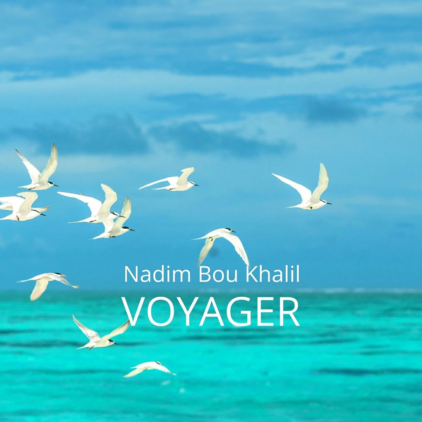 Релиз Voyager