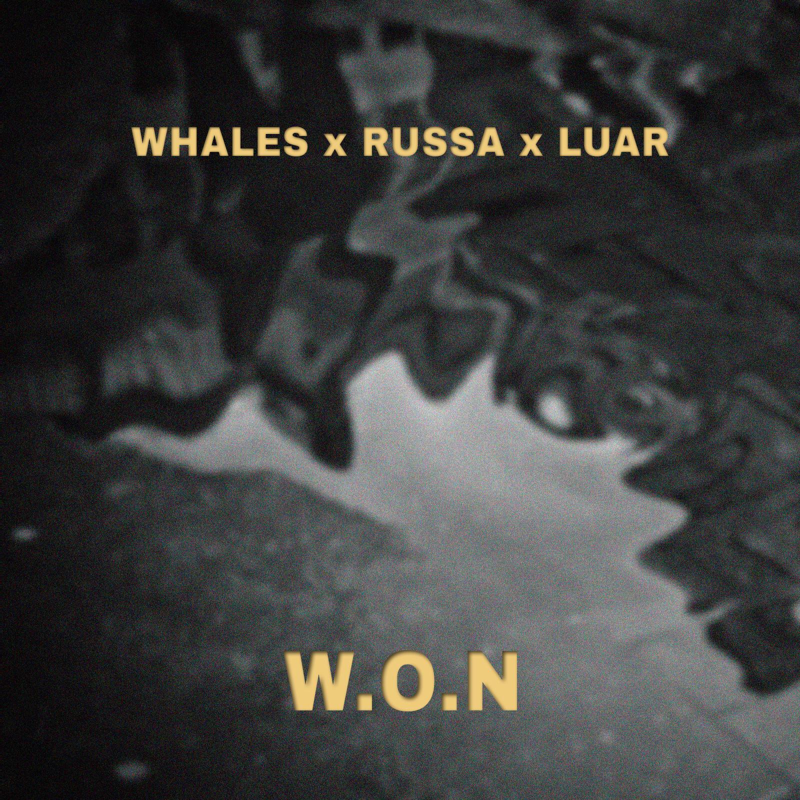 Релиз W.O.N