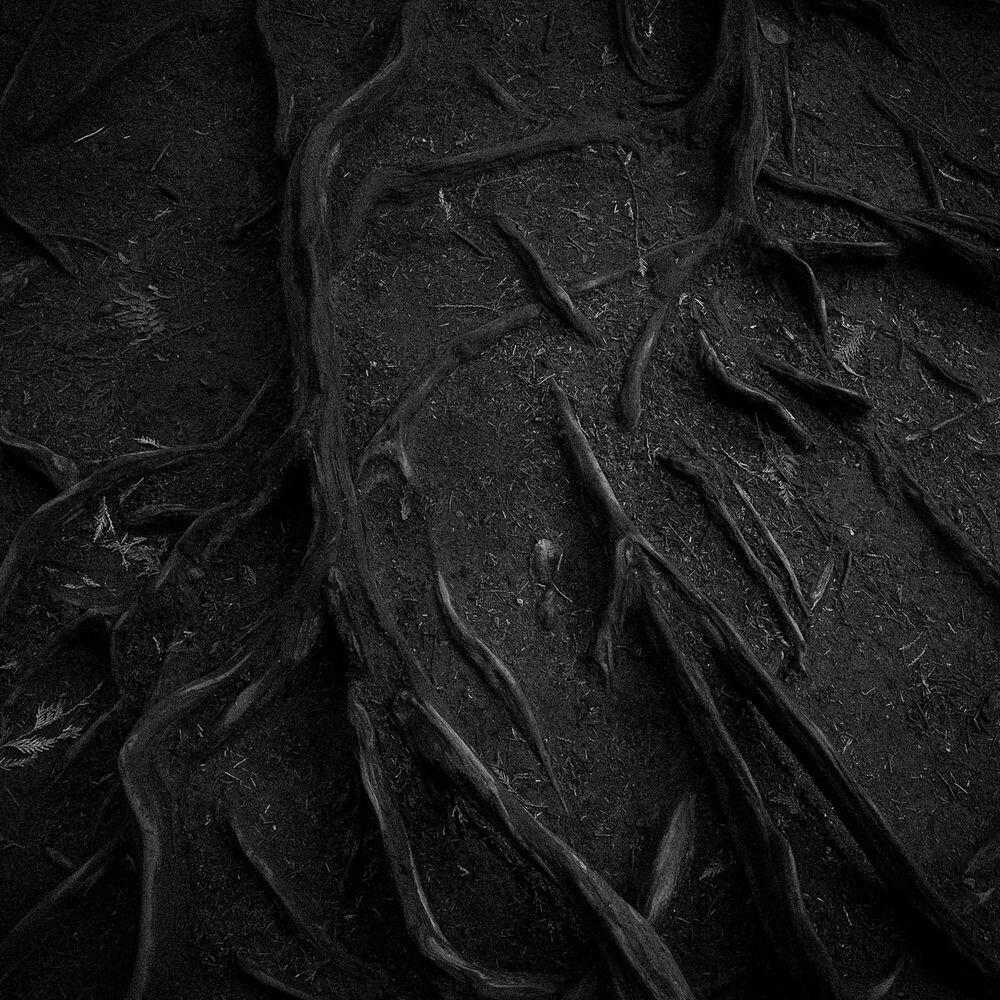 Релиз Subconscious