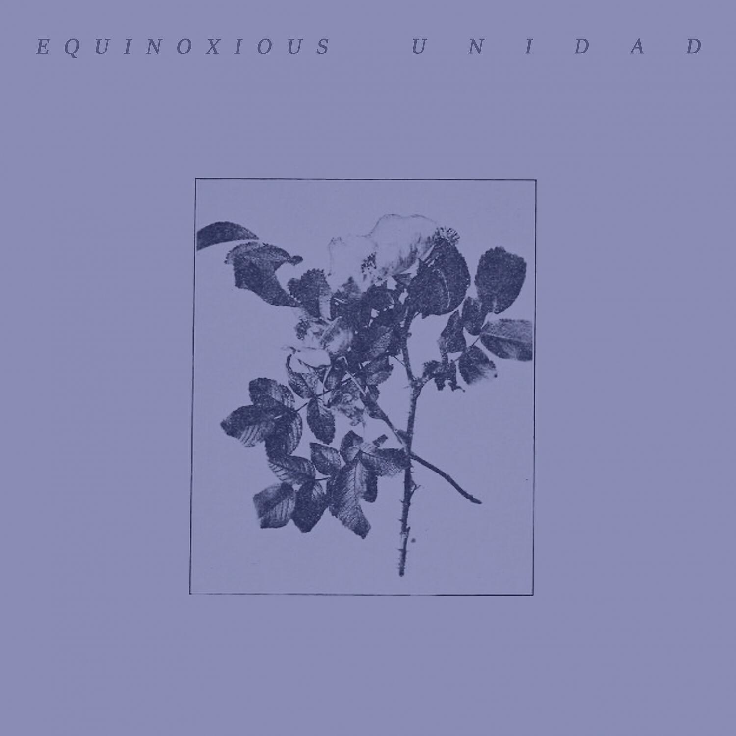 Релиз Unidad