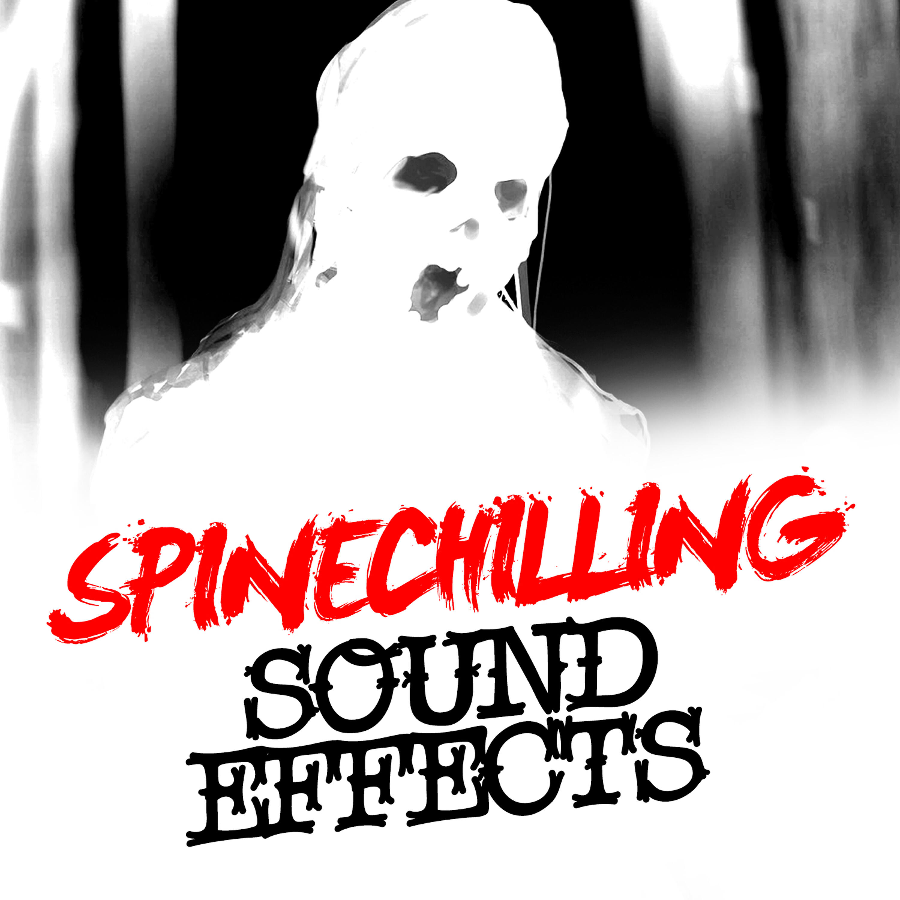 Релиз Spinechilling Sound Effects