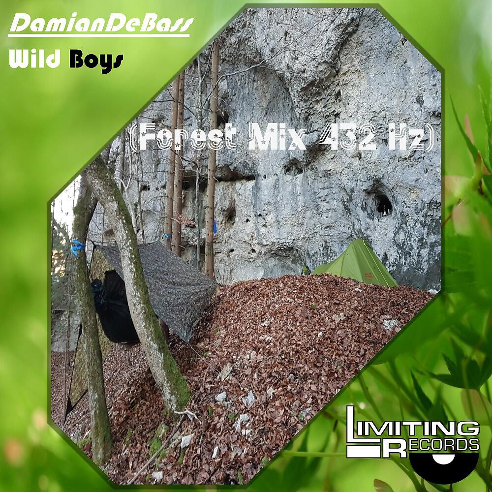 Релиз Wild Boys (Forest Mix 432 Hz)