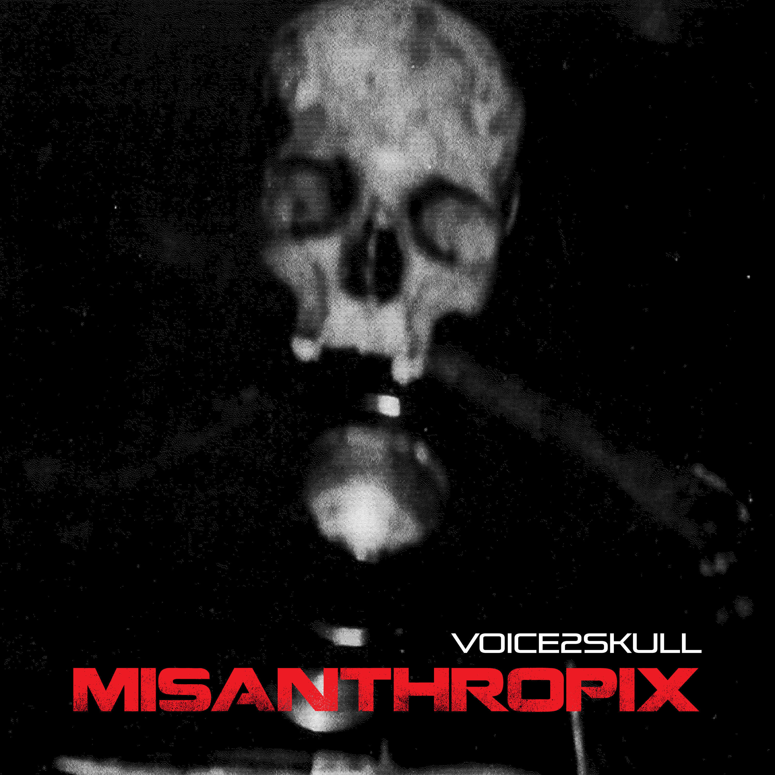 Релиз Voice2skull