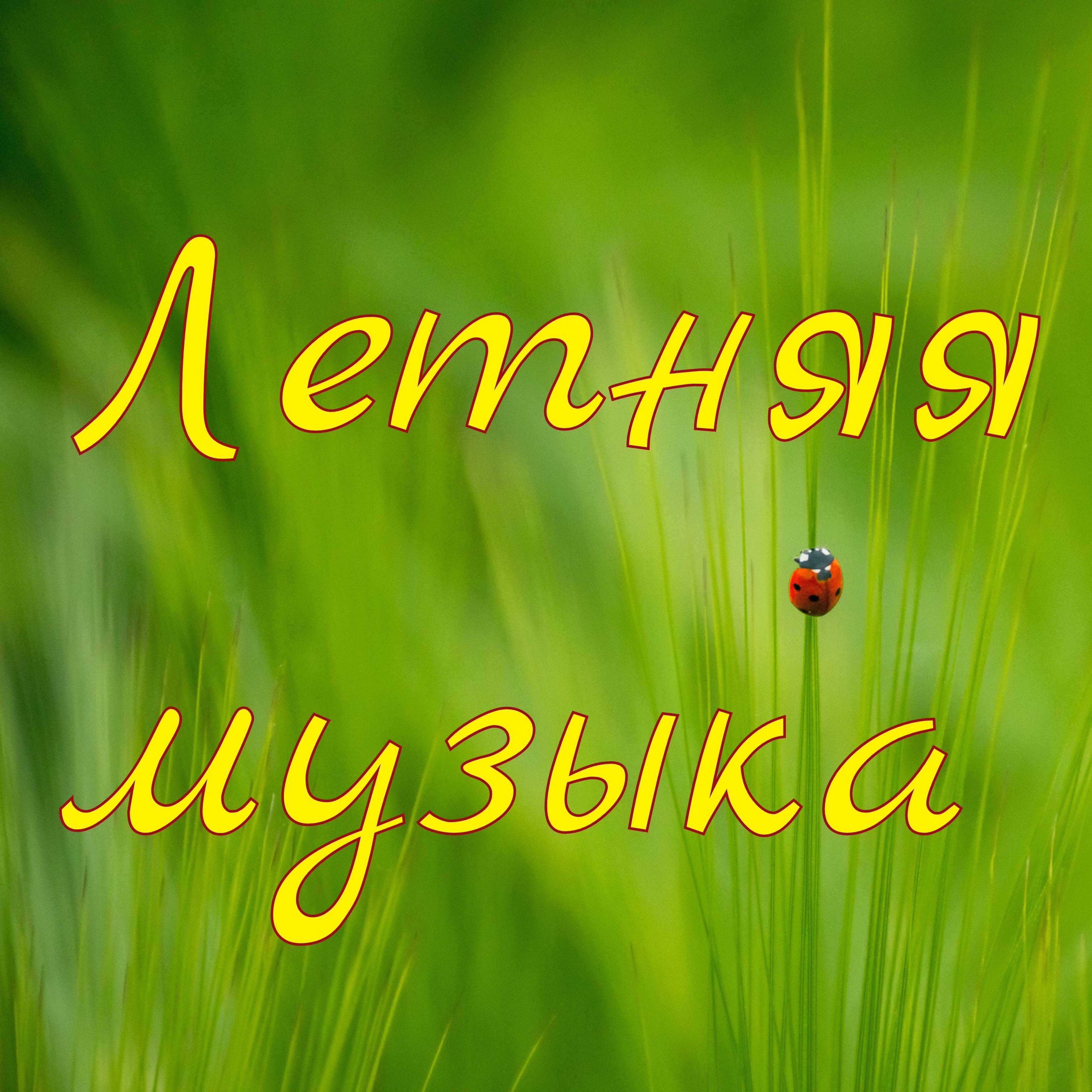 Постер альбома Летняя музыка