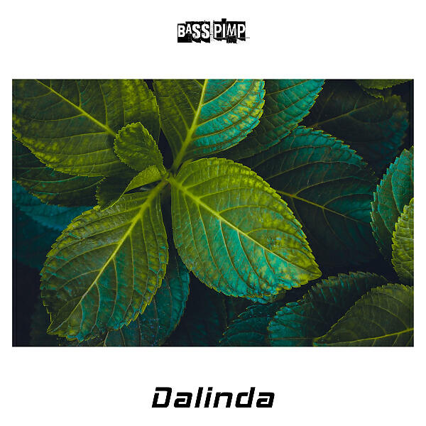 Релиз Dalinda