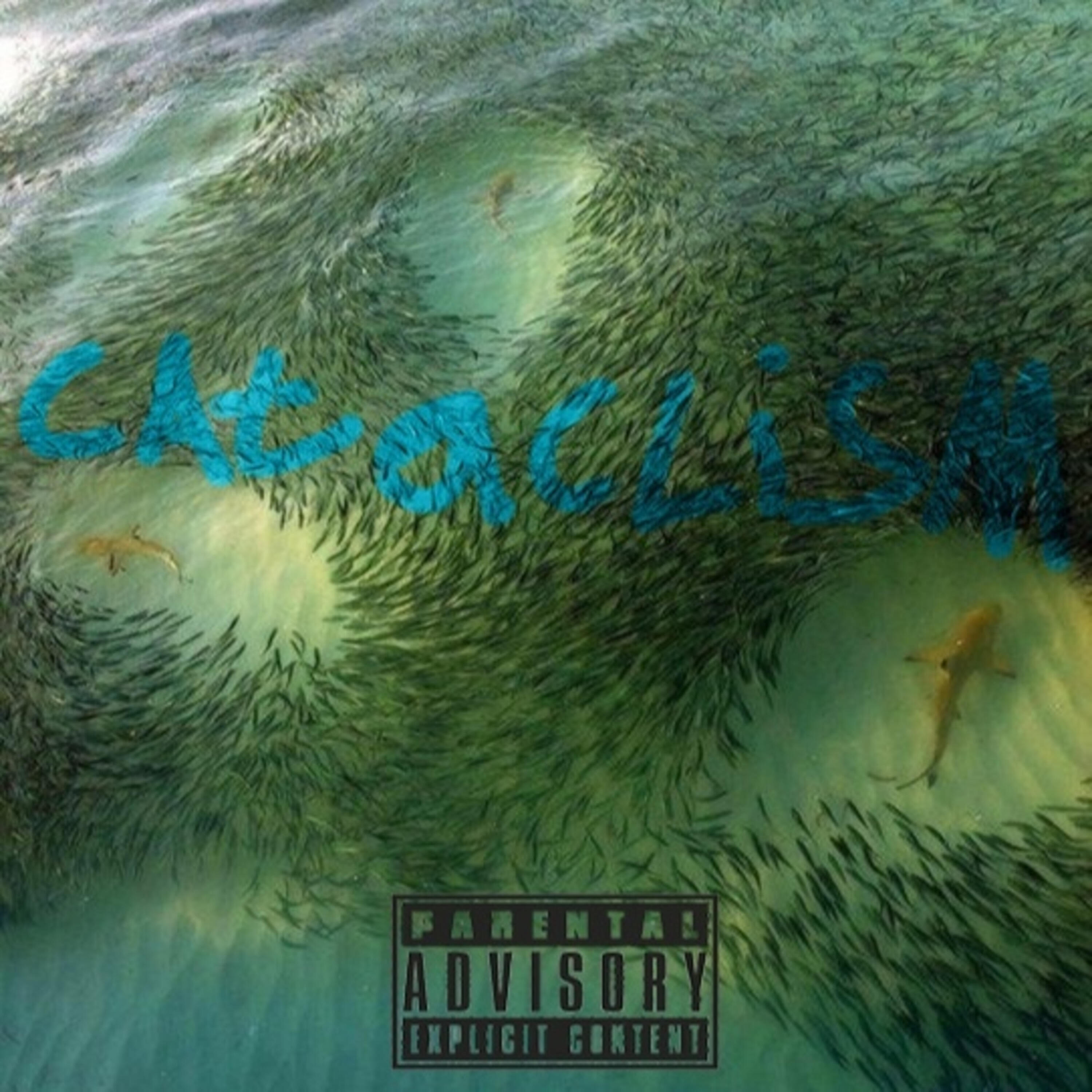 Релиз Cataclism